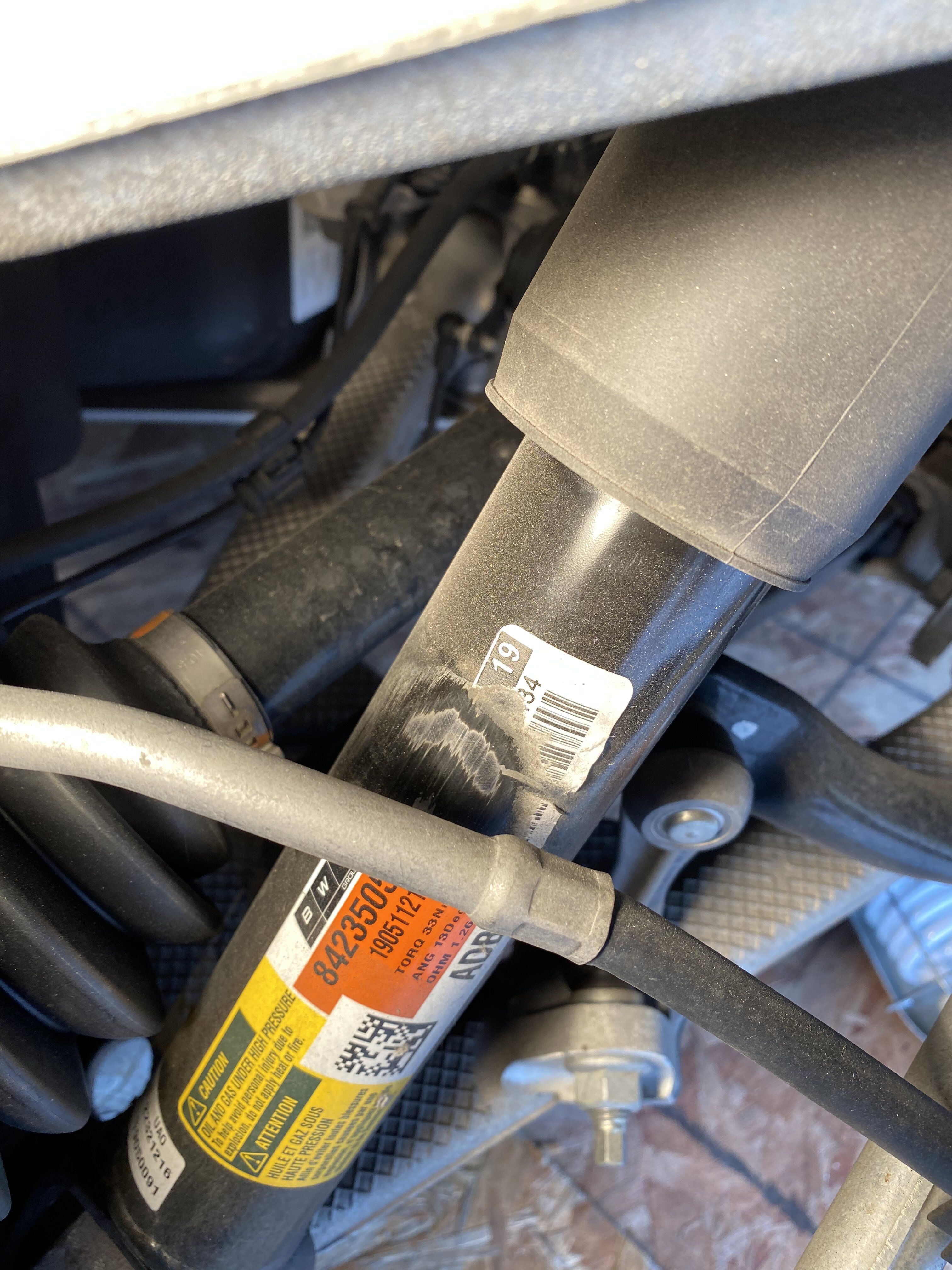 iOS Image - 3289839922.jpg