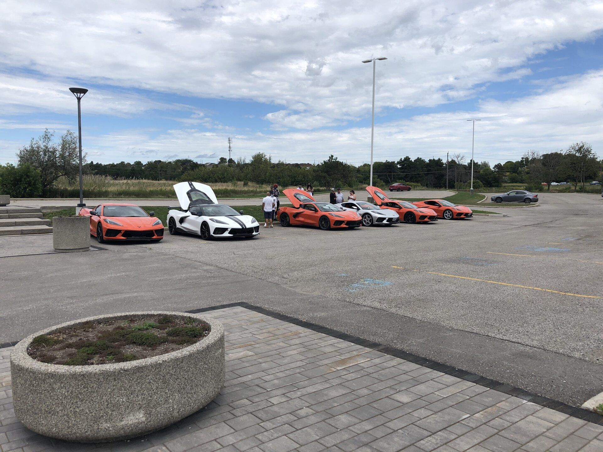 iOS Image - 3316042195.jpg