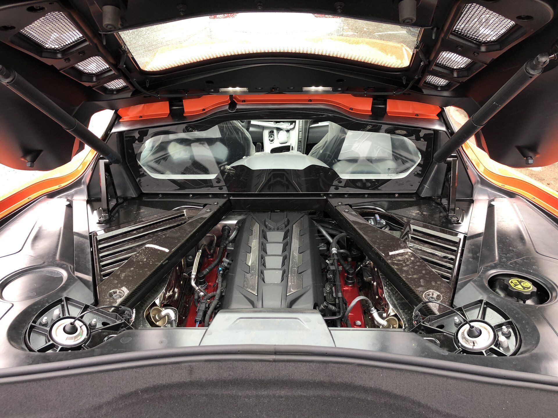 iOS Image - 3458750622.jpg