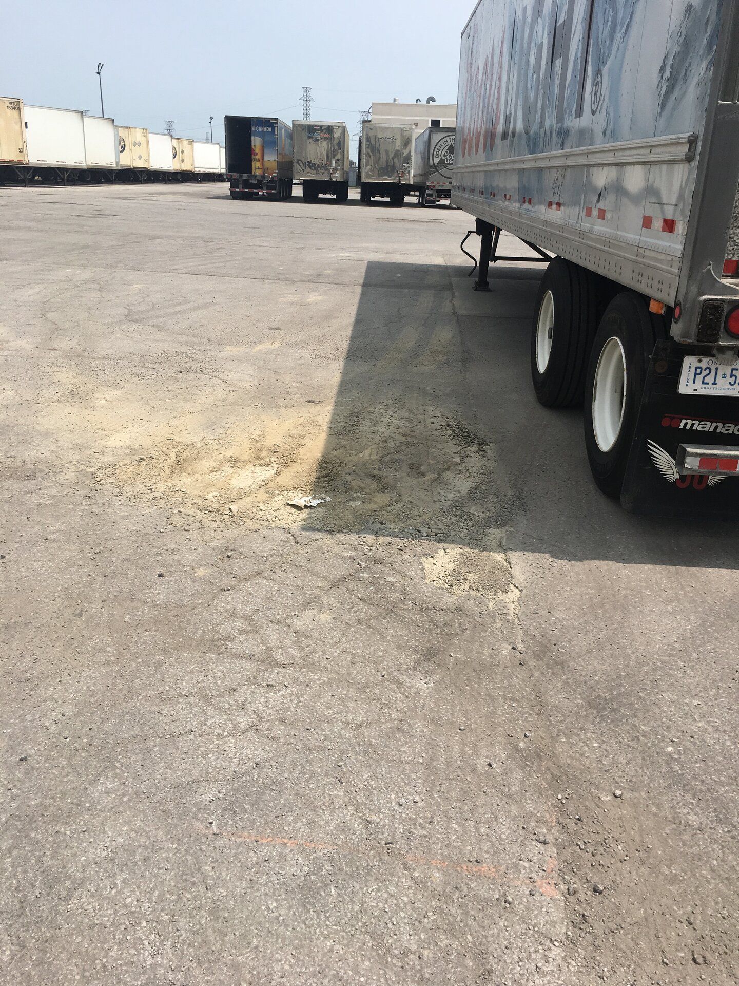 iOS Image - 4193029251.jpg