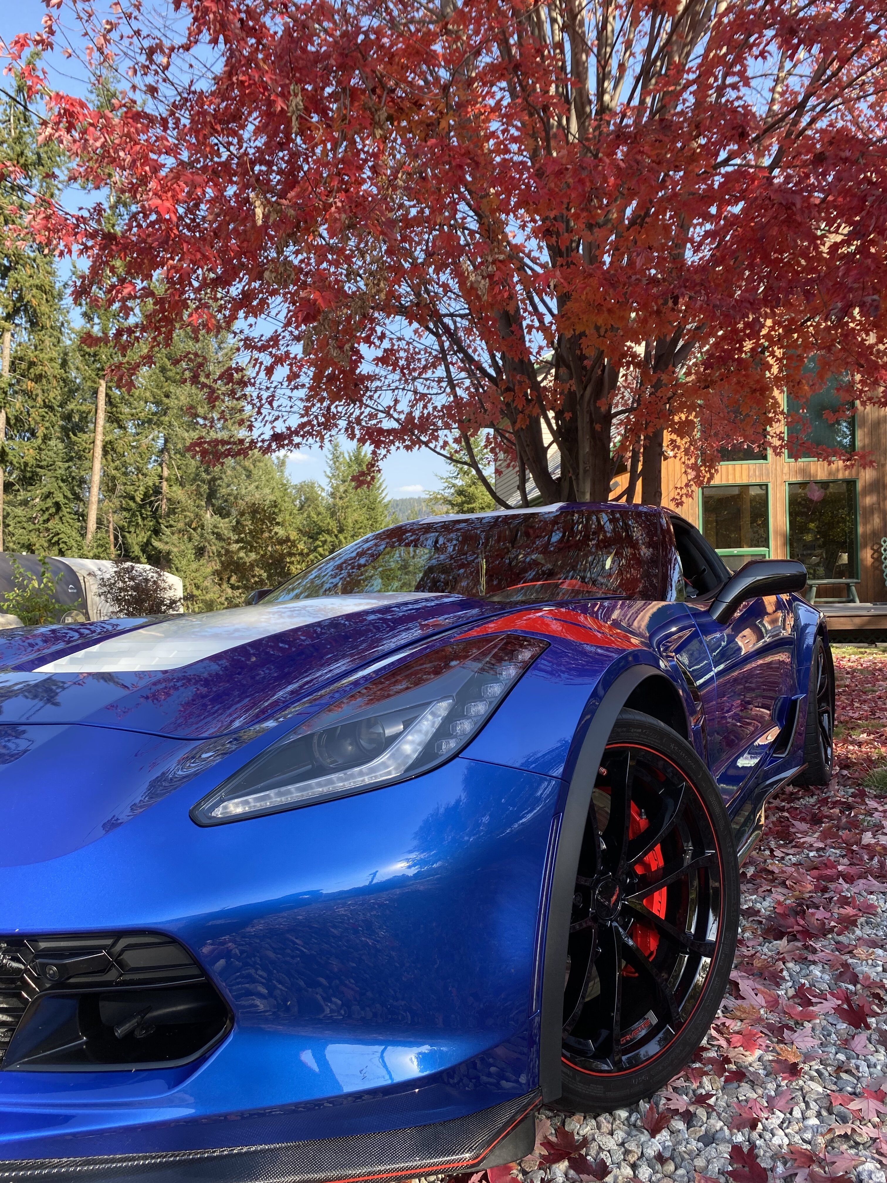 iOS Image - 4240479645.jpg