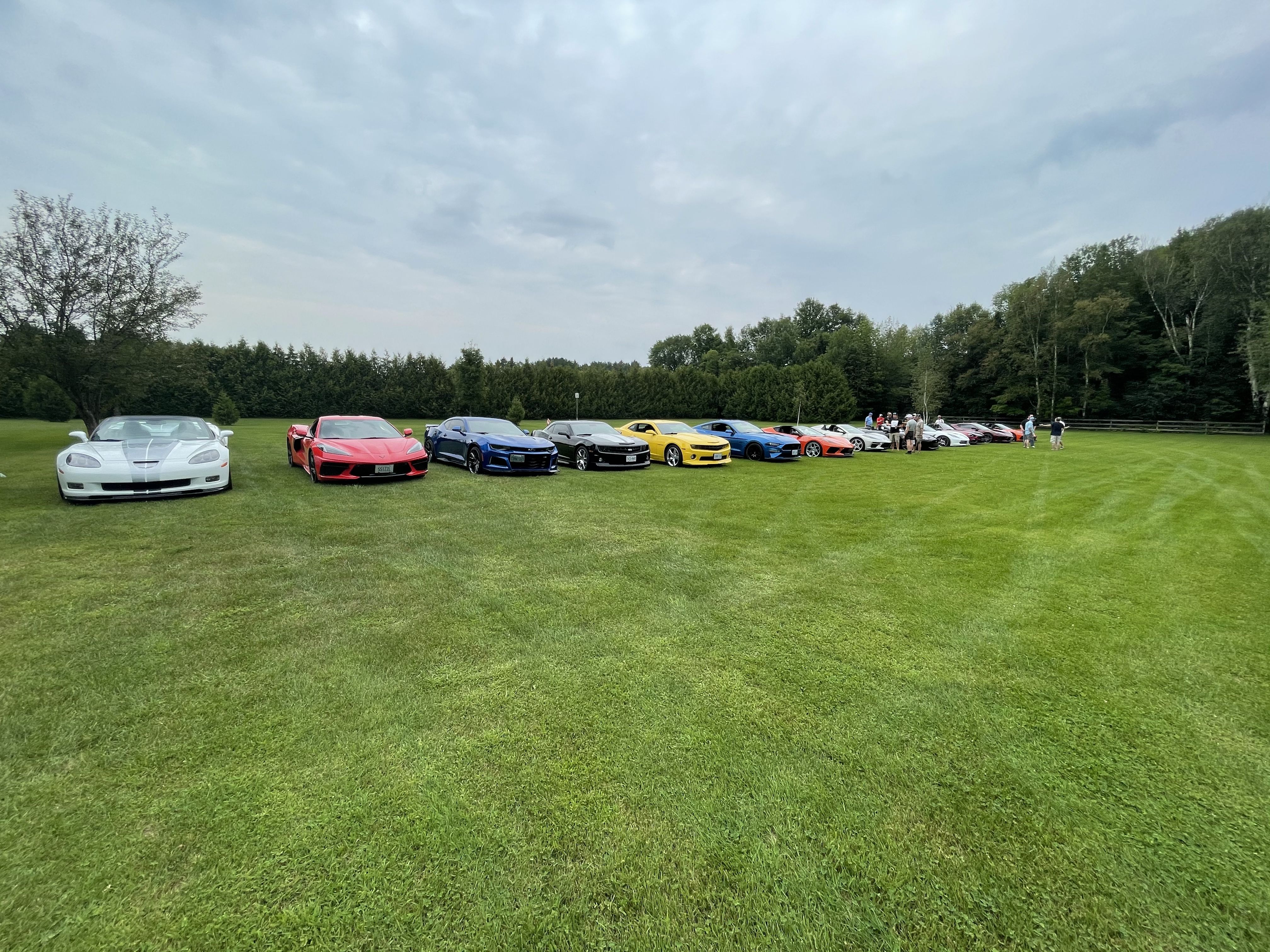 iOS Image - 4242399196.jpg