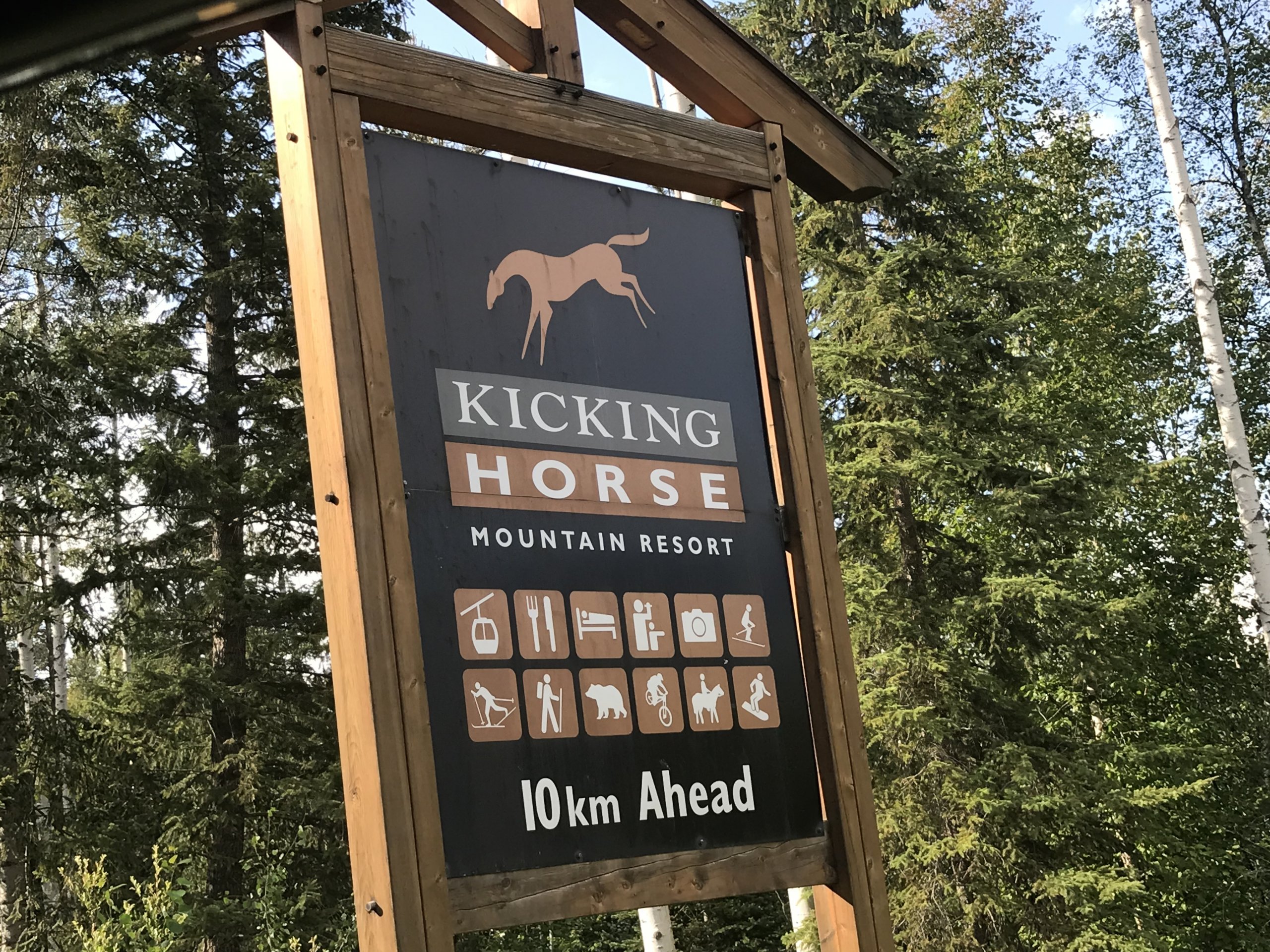 iOS Image - 439520718.jpg