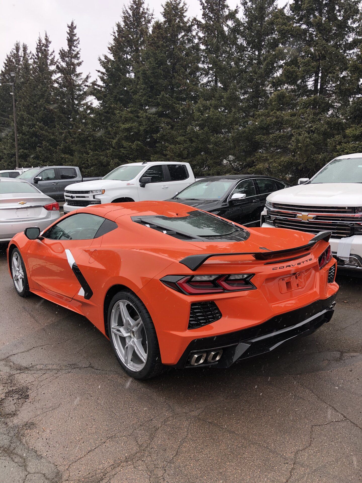 iOS Image - 496987400.jpg