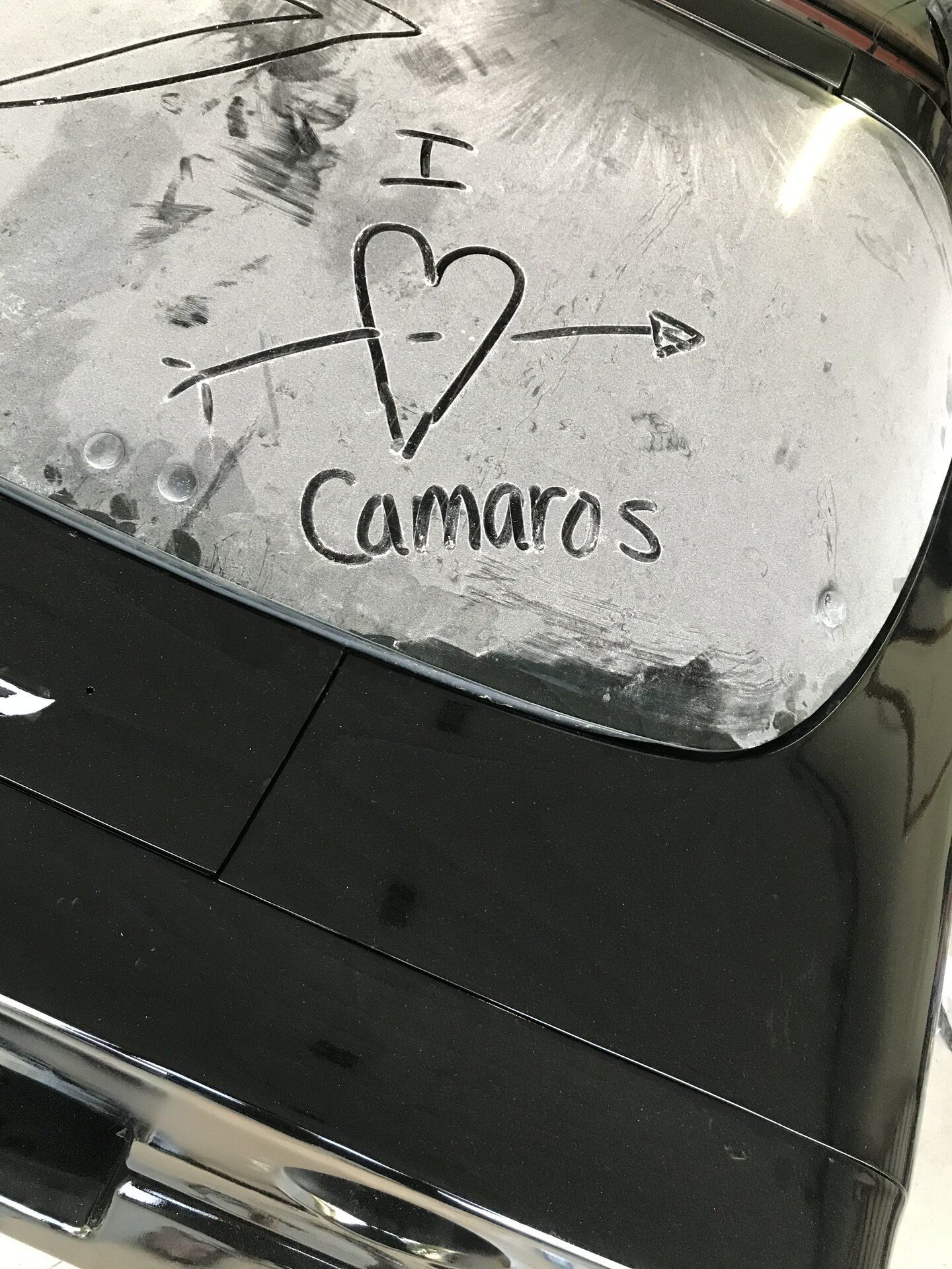 iOS Image - 773173337.jpg