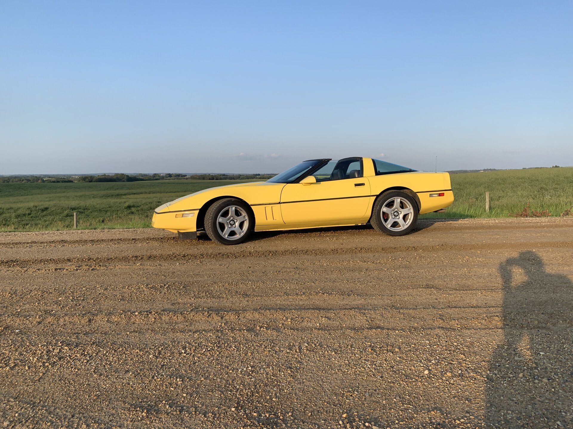 iOS Image - 870464480.jpg