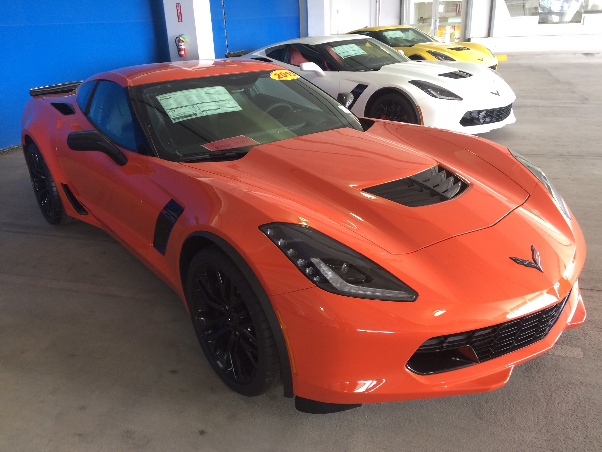 iOS Image - 949618283.jpg