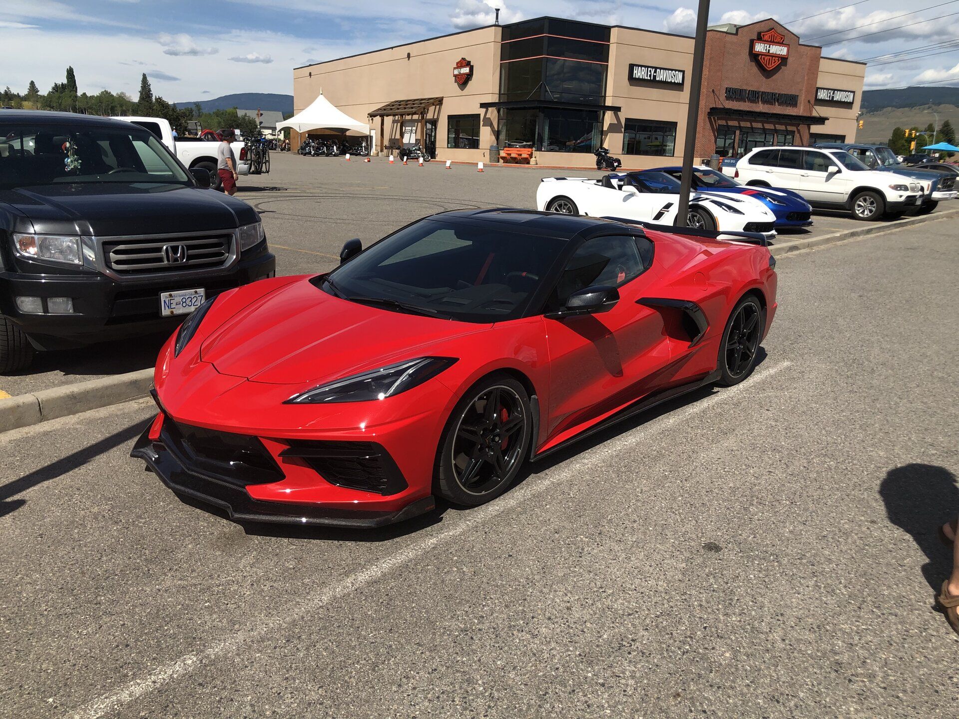 iOS Image - 962376376.jpg