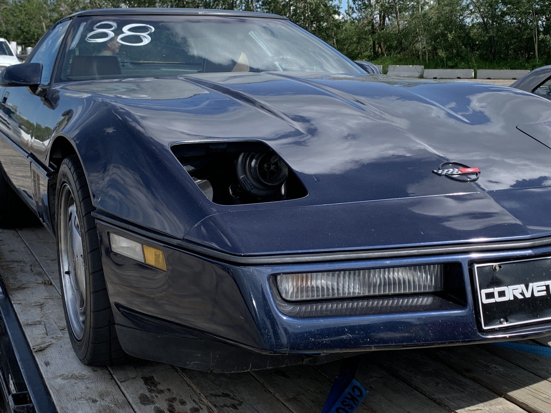 iOS Image - 982714802.jpg