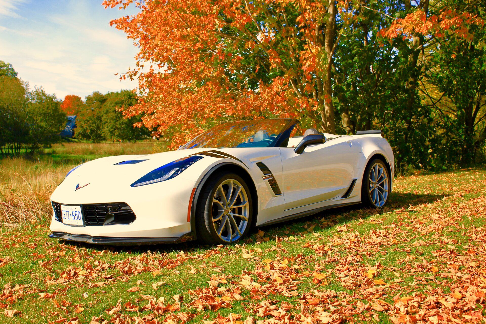 iOS Image - 988794421.jpg