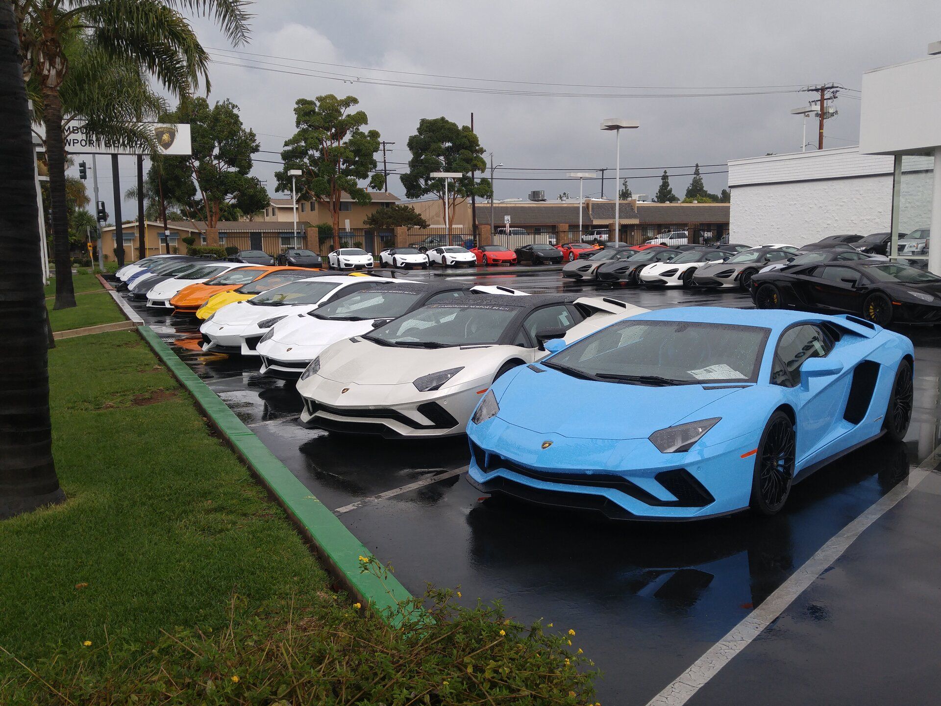 lambo1.jpg