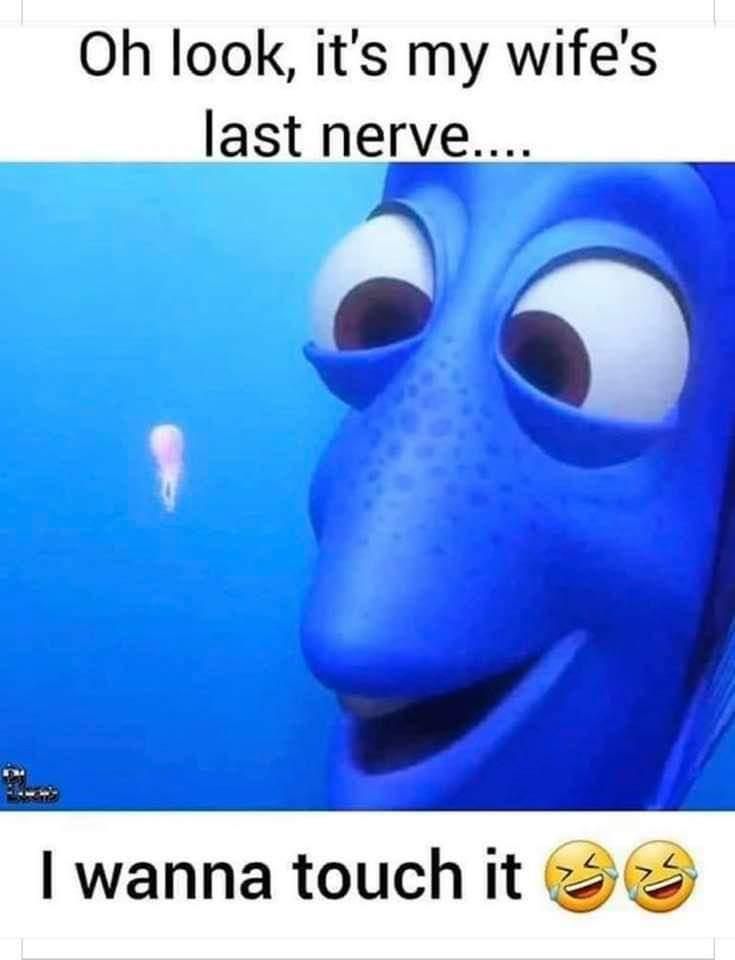 last nerve.jpg