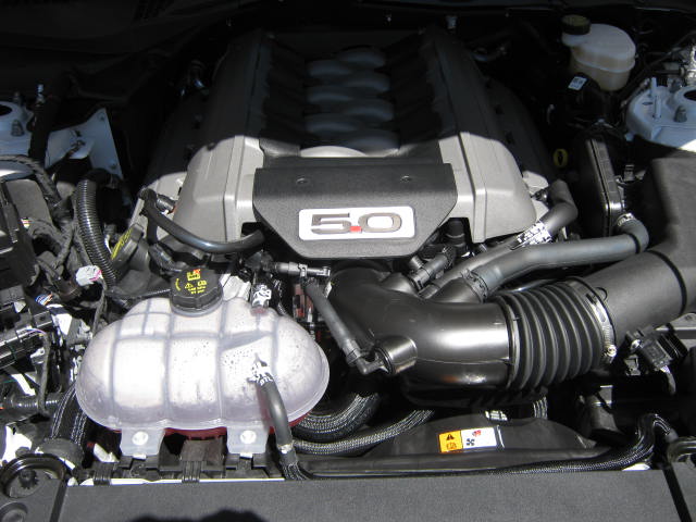 Lauries Mustang GT 010.JPG