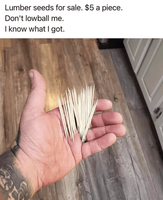 Lumber seeds.png