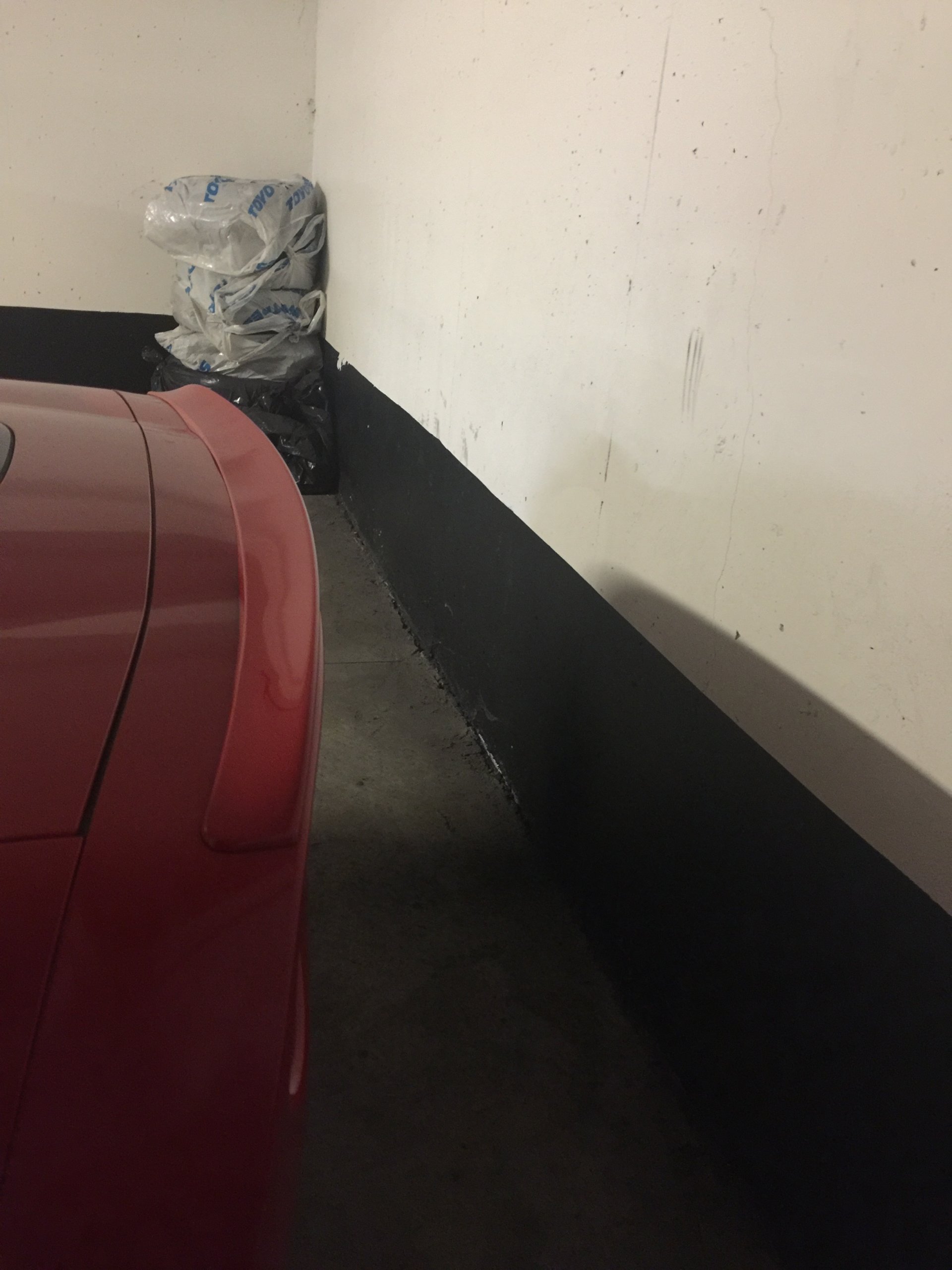 March 3 2017 024.JPG