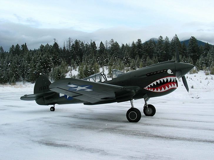 military-aircrafts-curtiss-p-40-warhawk-aircraft-military-wallpaper-preview.jpg