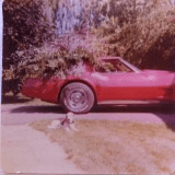 My '75 and  JJ .png