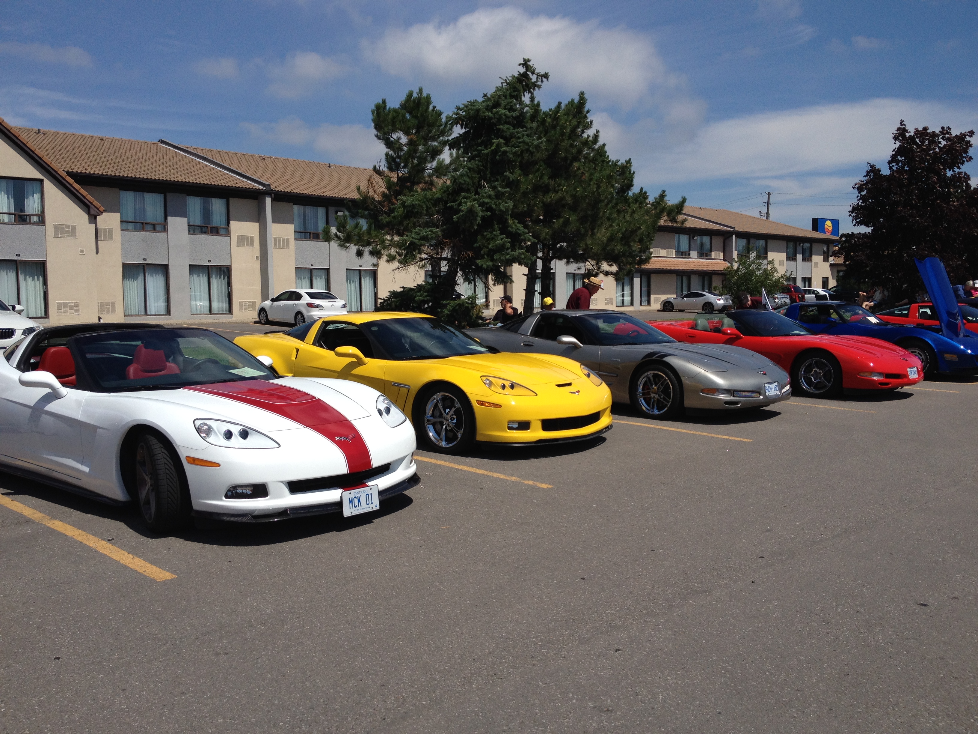 NAPA Corvette Show July 2015