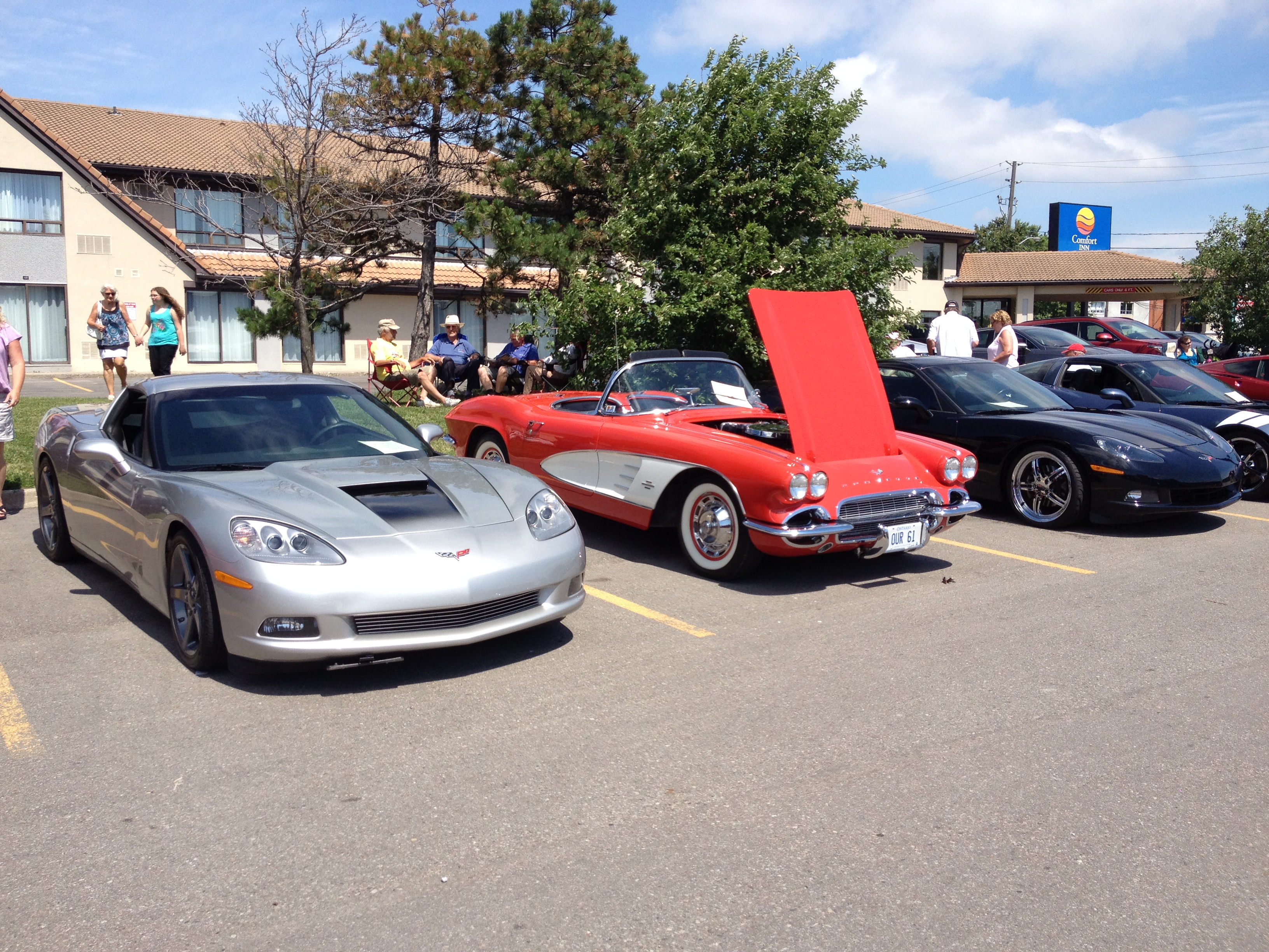 NAPA Corvette Show July 2015