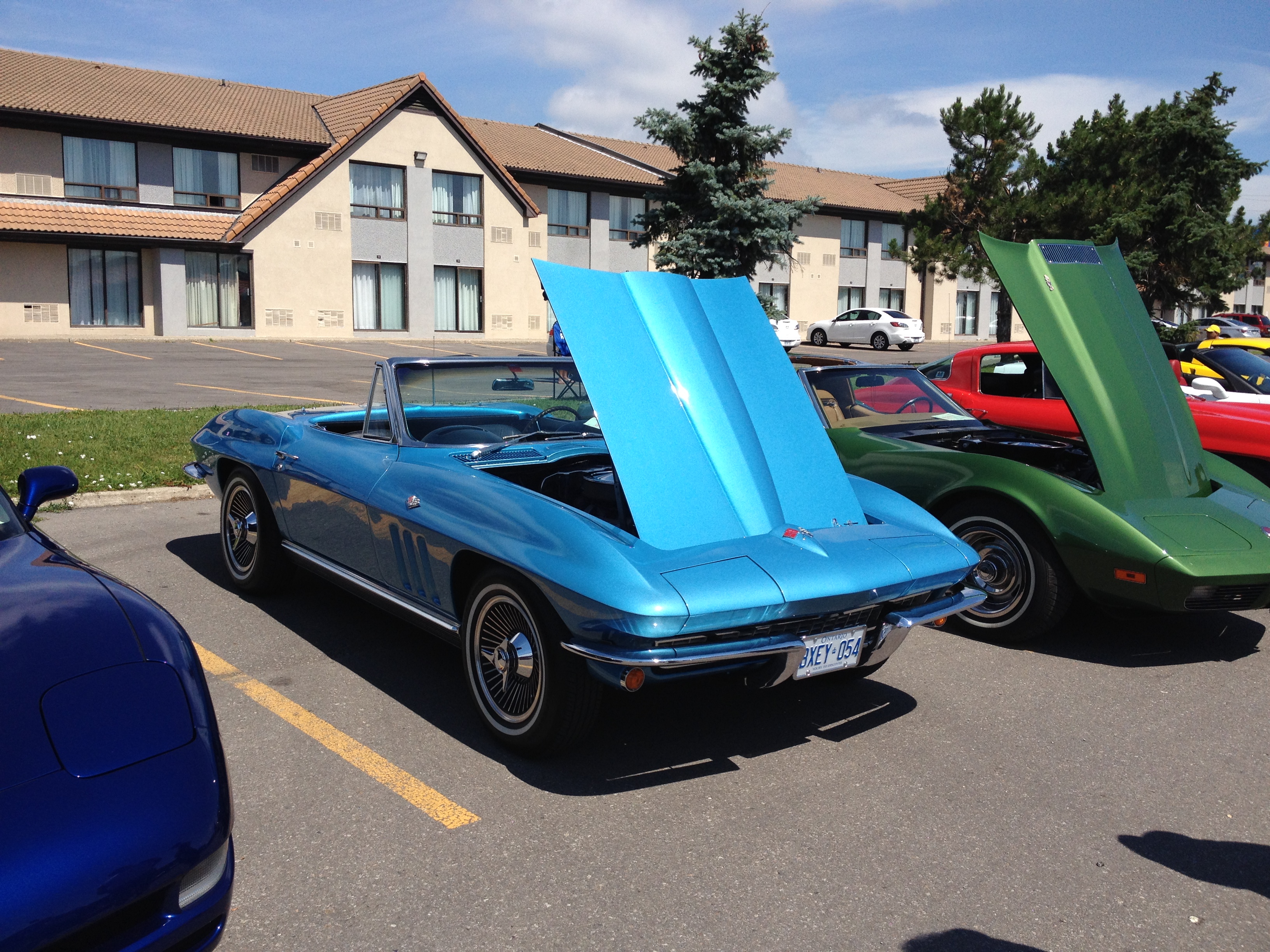 NAPA Corvette Show July 2015