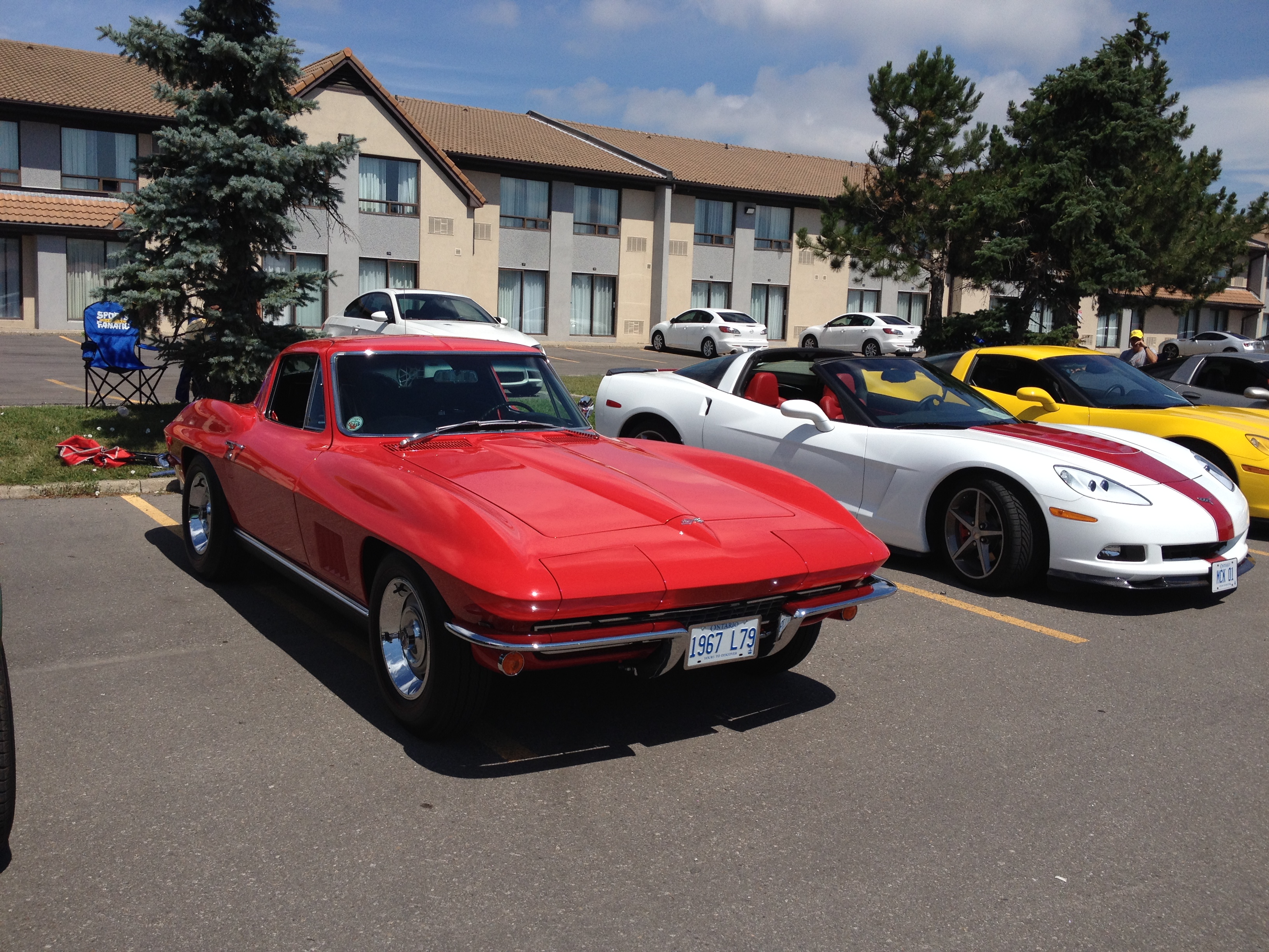 NAPA Corvette Show July 2015