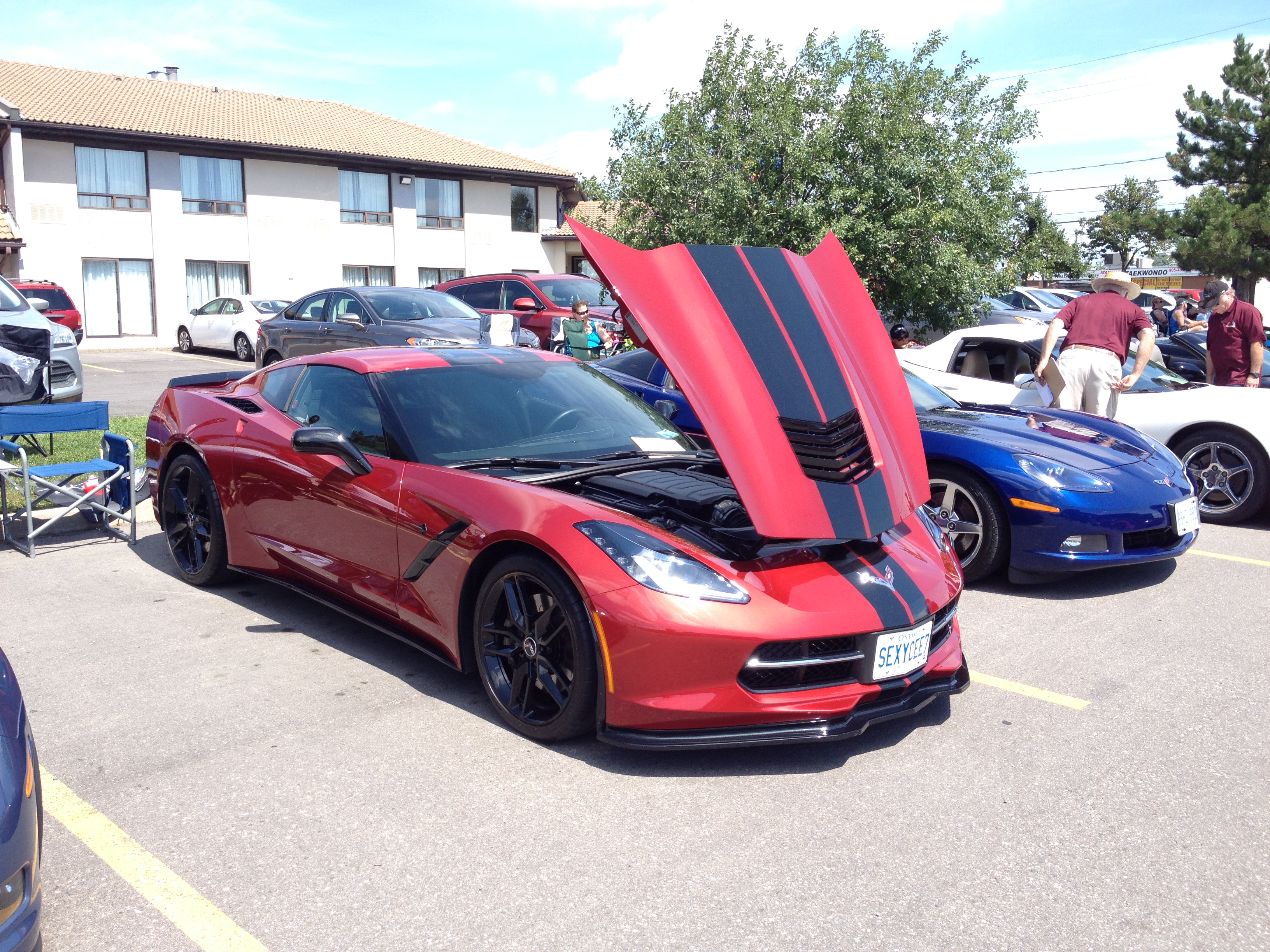 NAPA Corvette Show July 2015