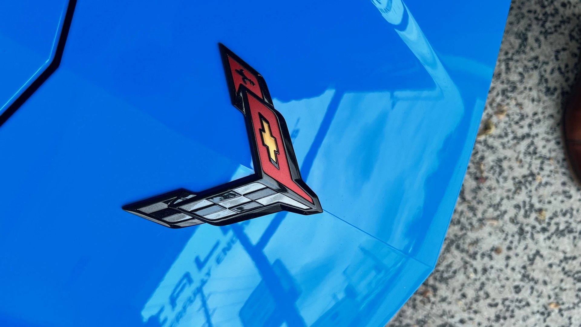 new 2023 first pic.jpg