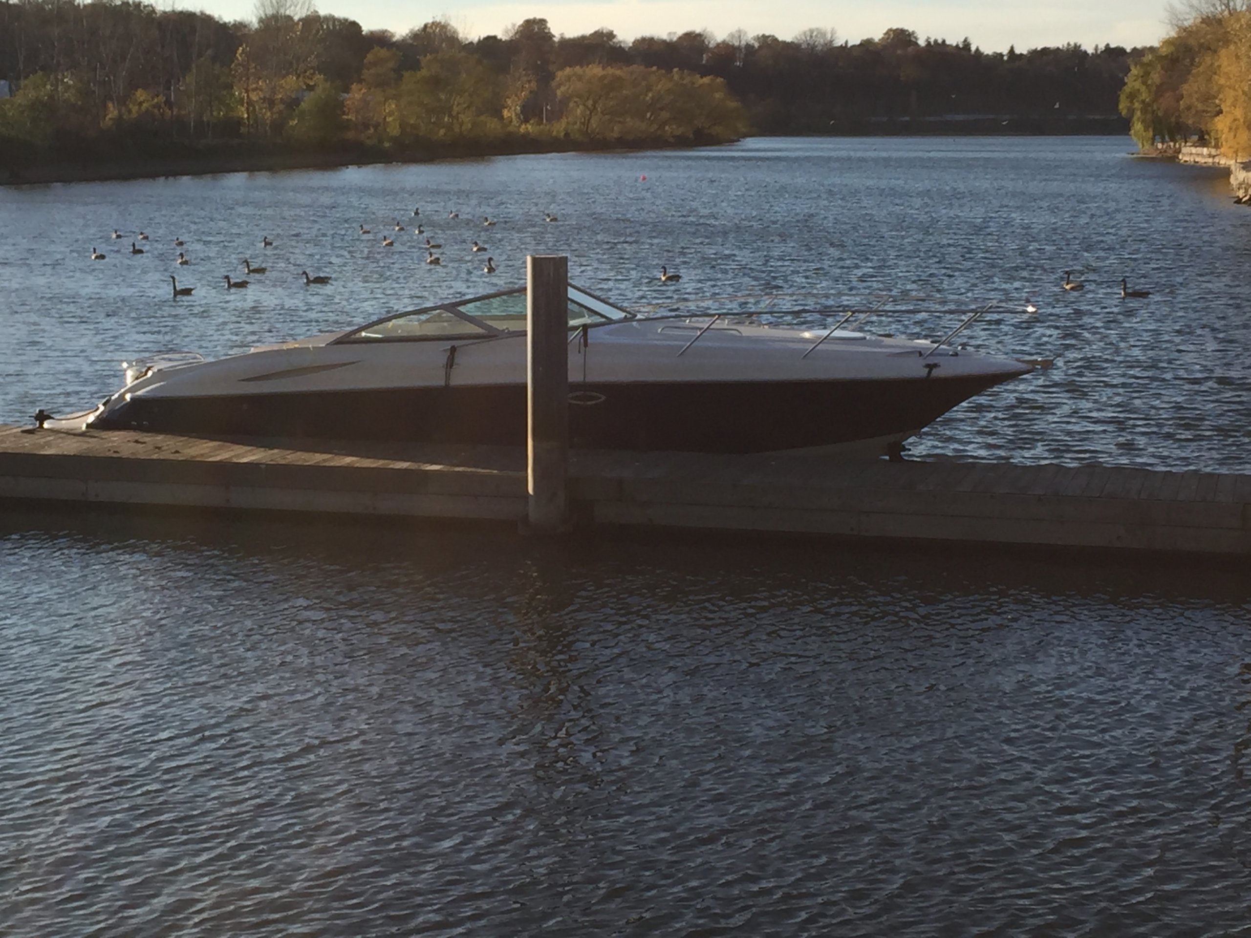 Nov 13th, 2016 095.JPG