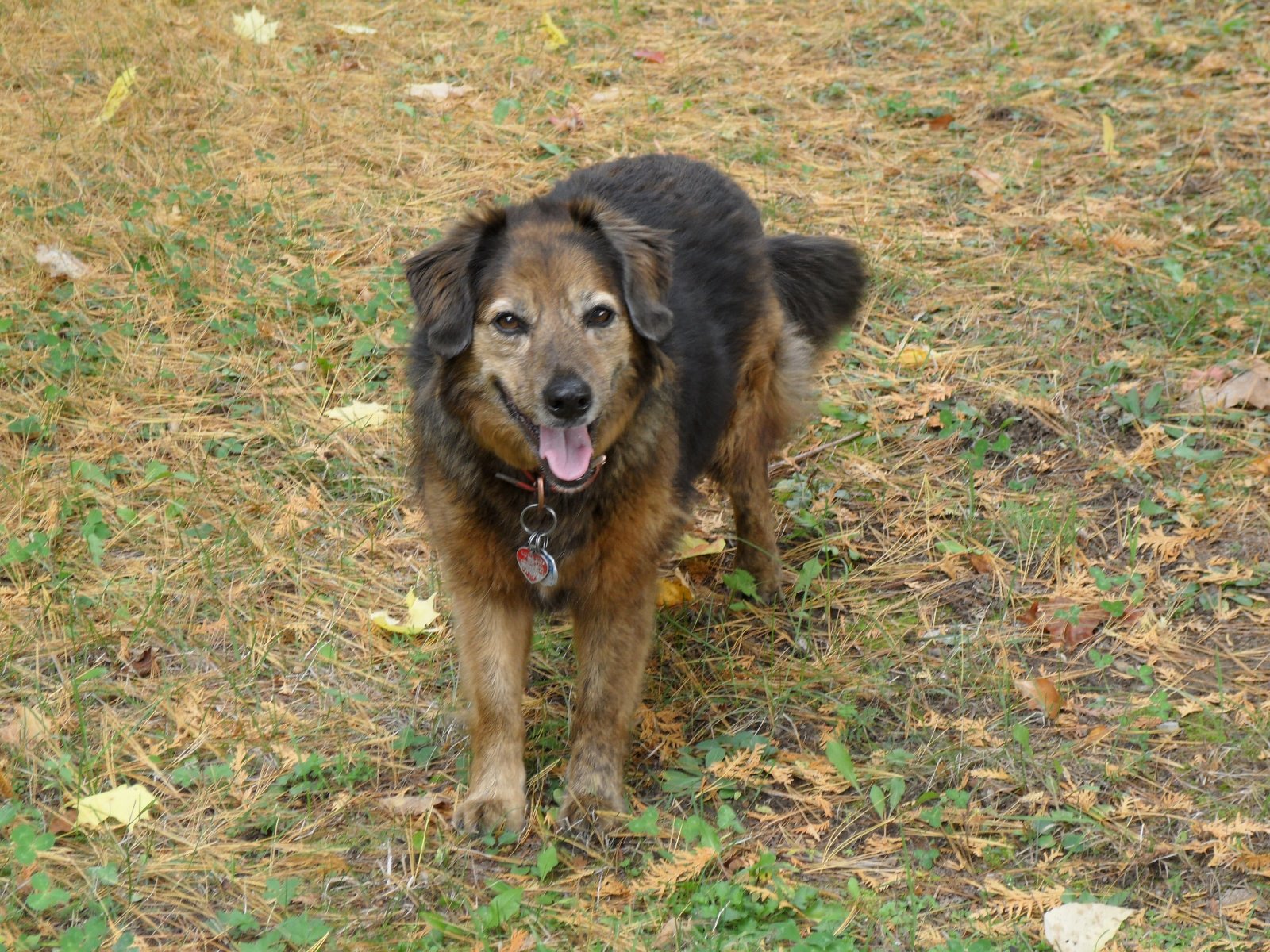 oct. 5 2012 lot pics 016.JPG