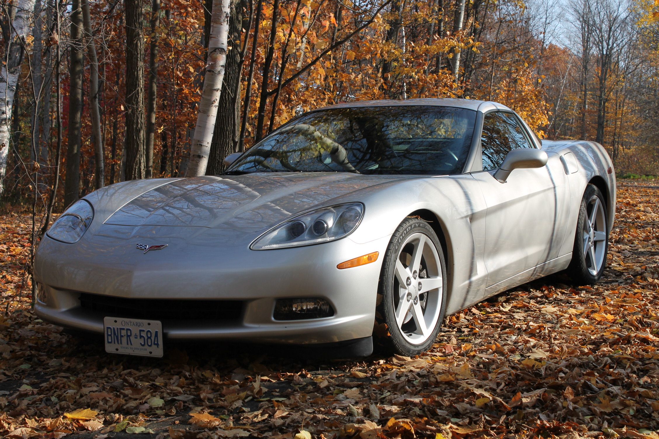 Our Corvette Front Quarter In Leaves.JPG