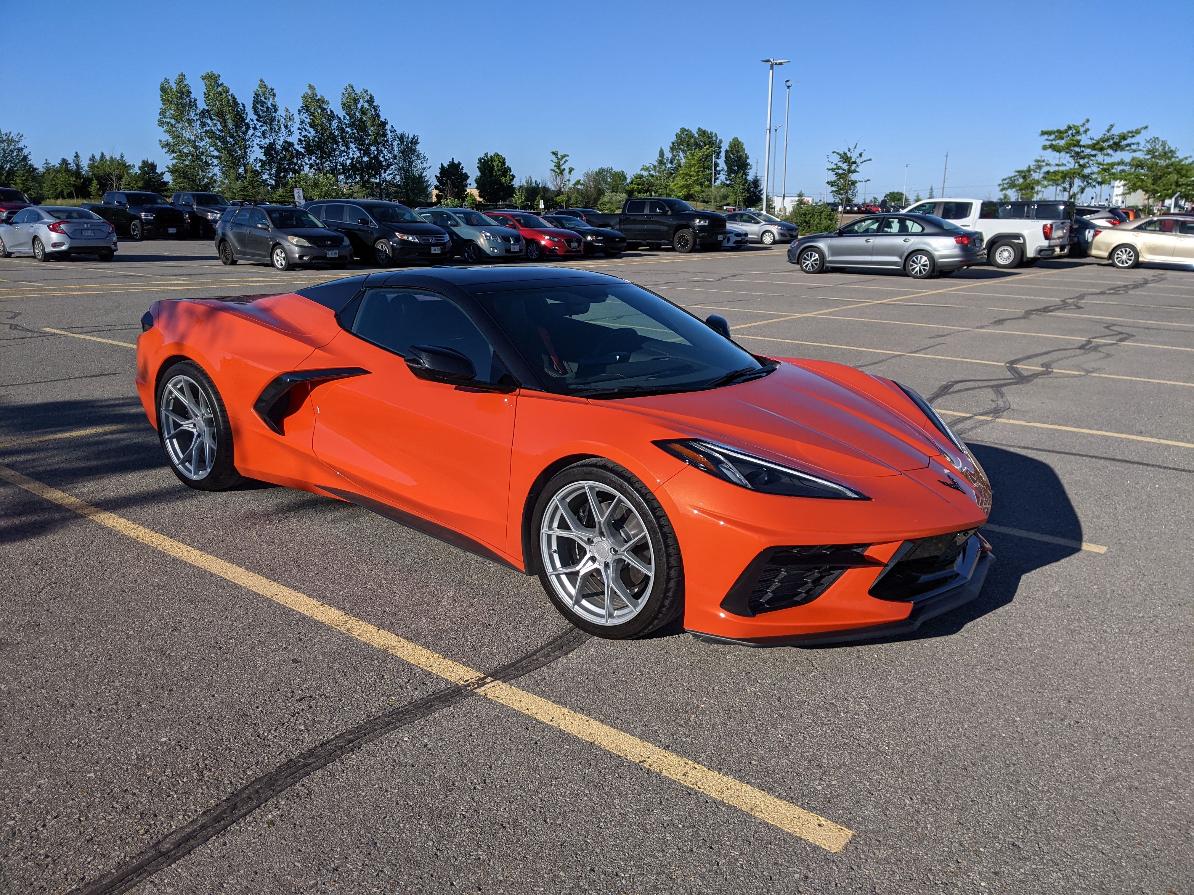 PXL_20210616_114136516.jpg
