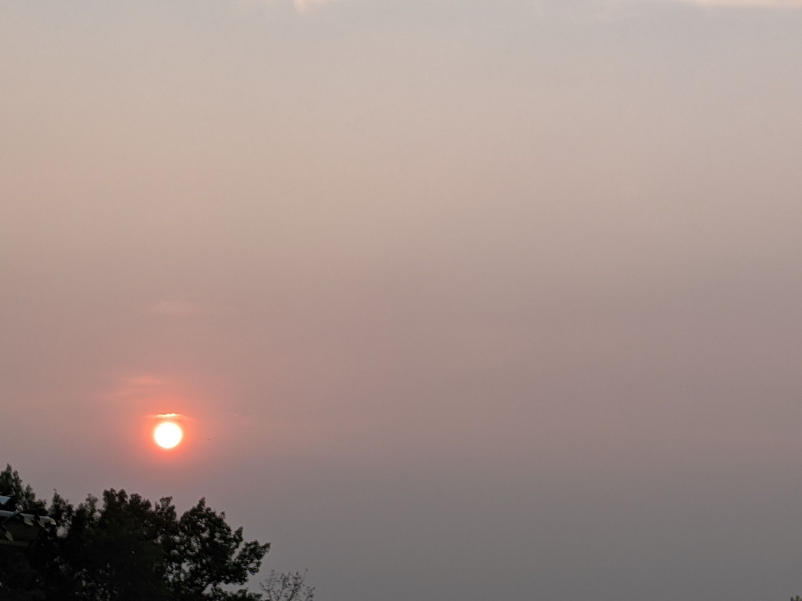 PXL_20210715_123410072.jpg