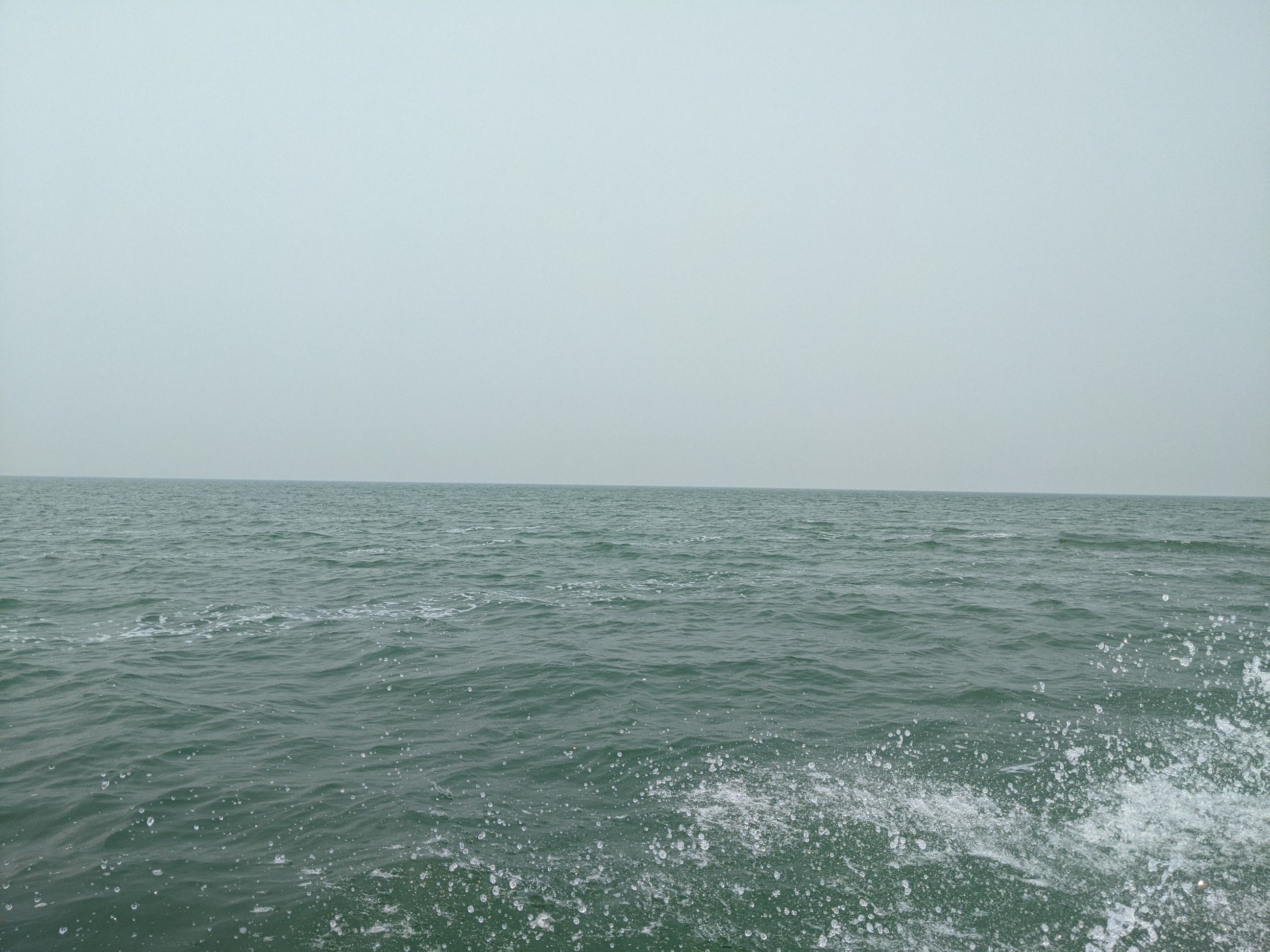 PXL_20210715_191235561.jpg