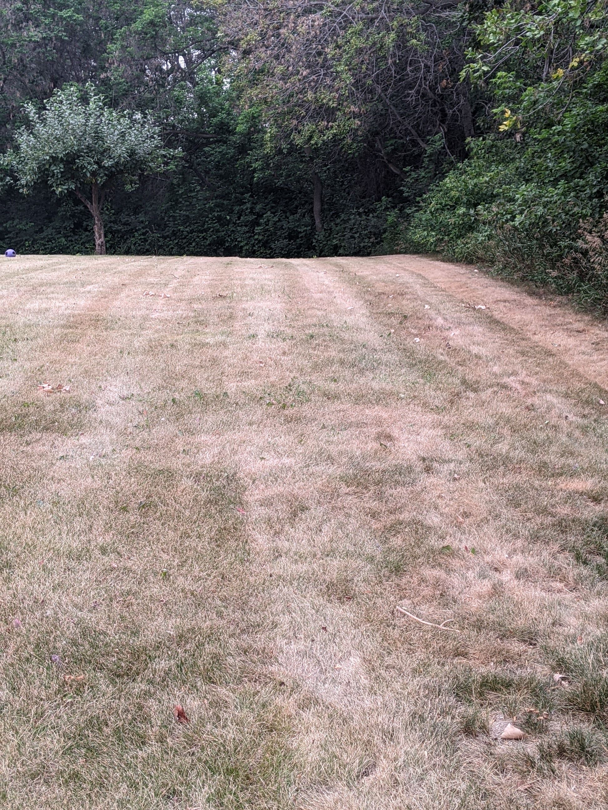 PXL_20210816_012836634.jpg