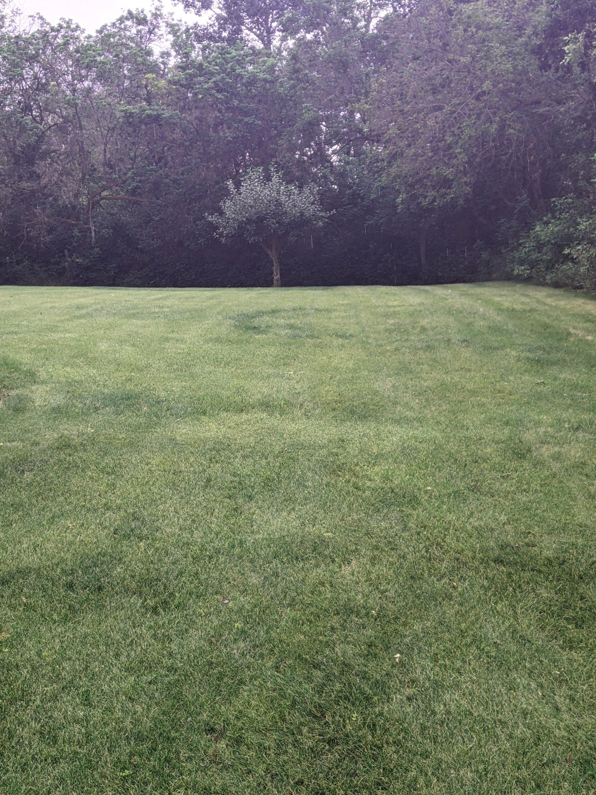 PXL_20210827_151439439.jpg