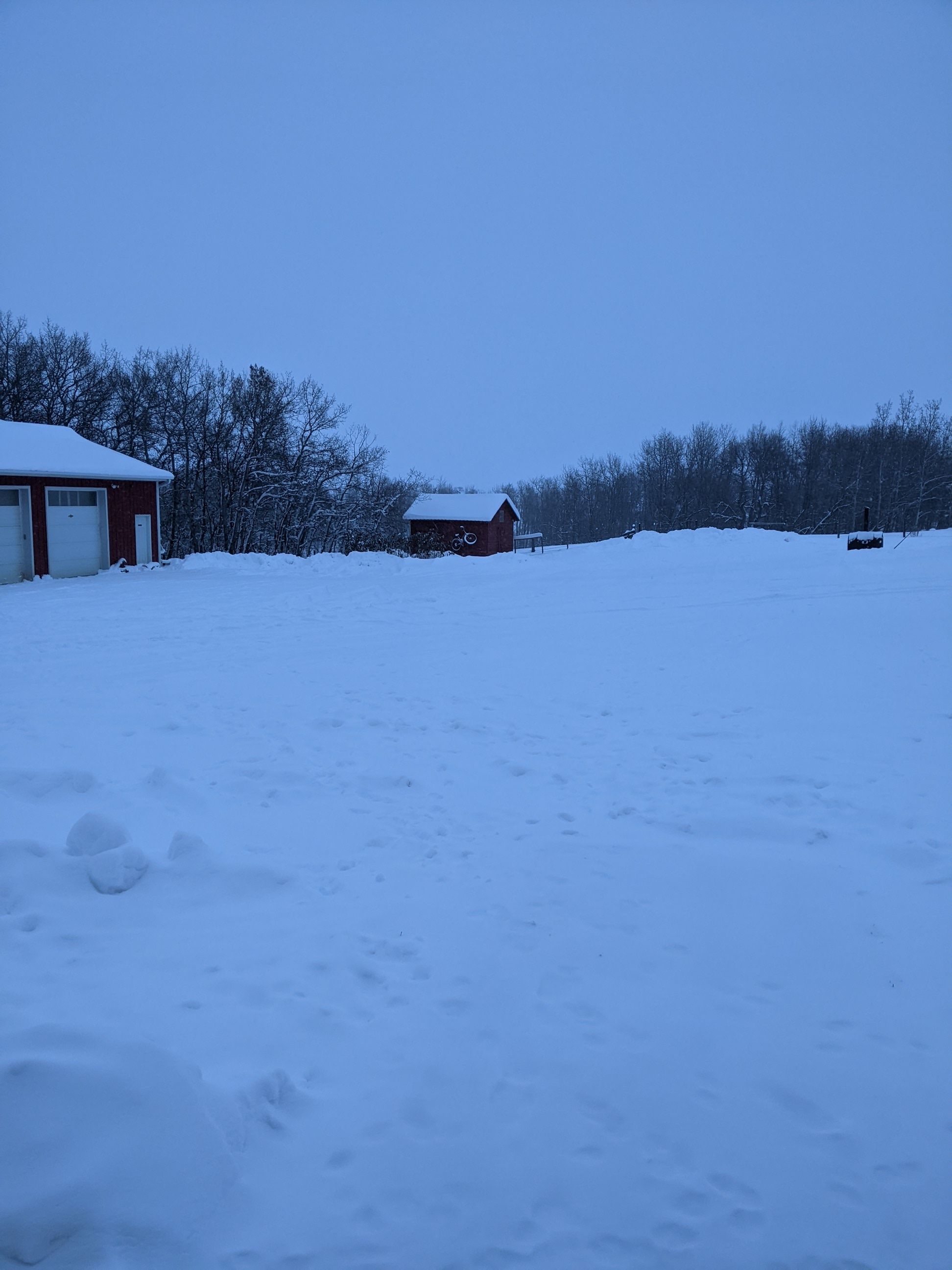 PXL_20221107_234246451.jpg