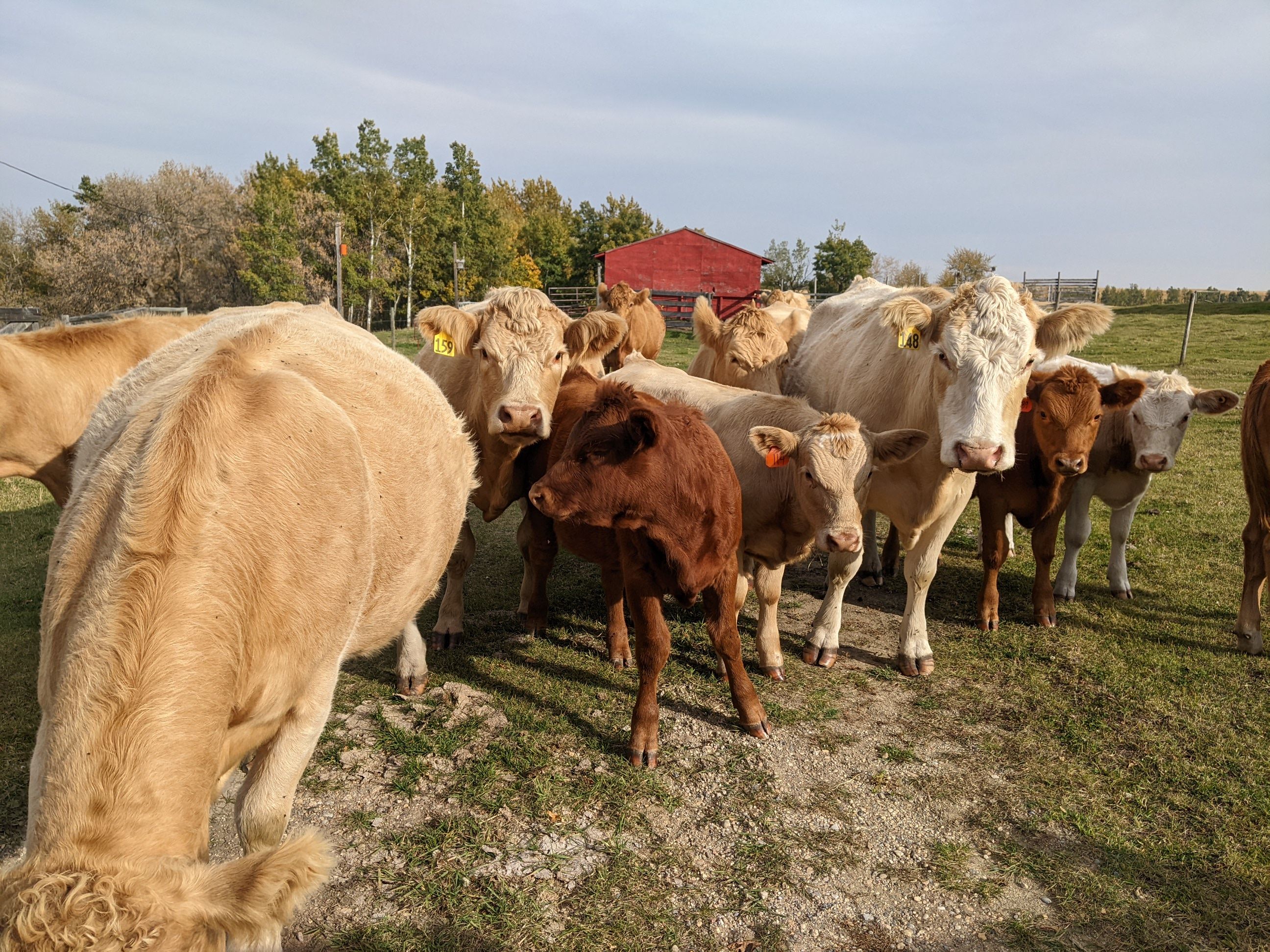 PXL_20230925_221634917 (1).jpg