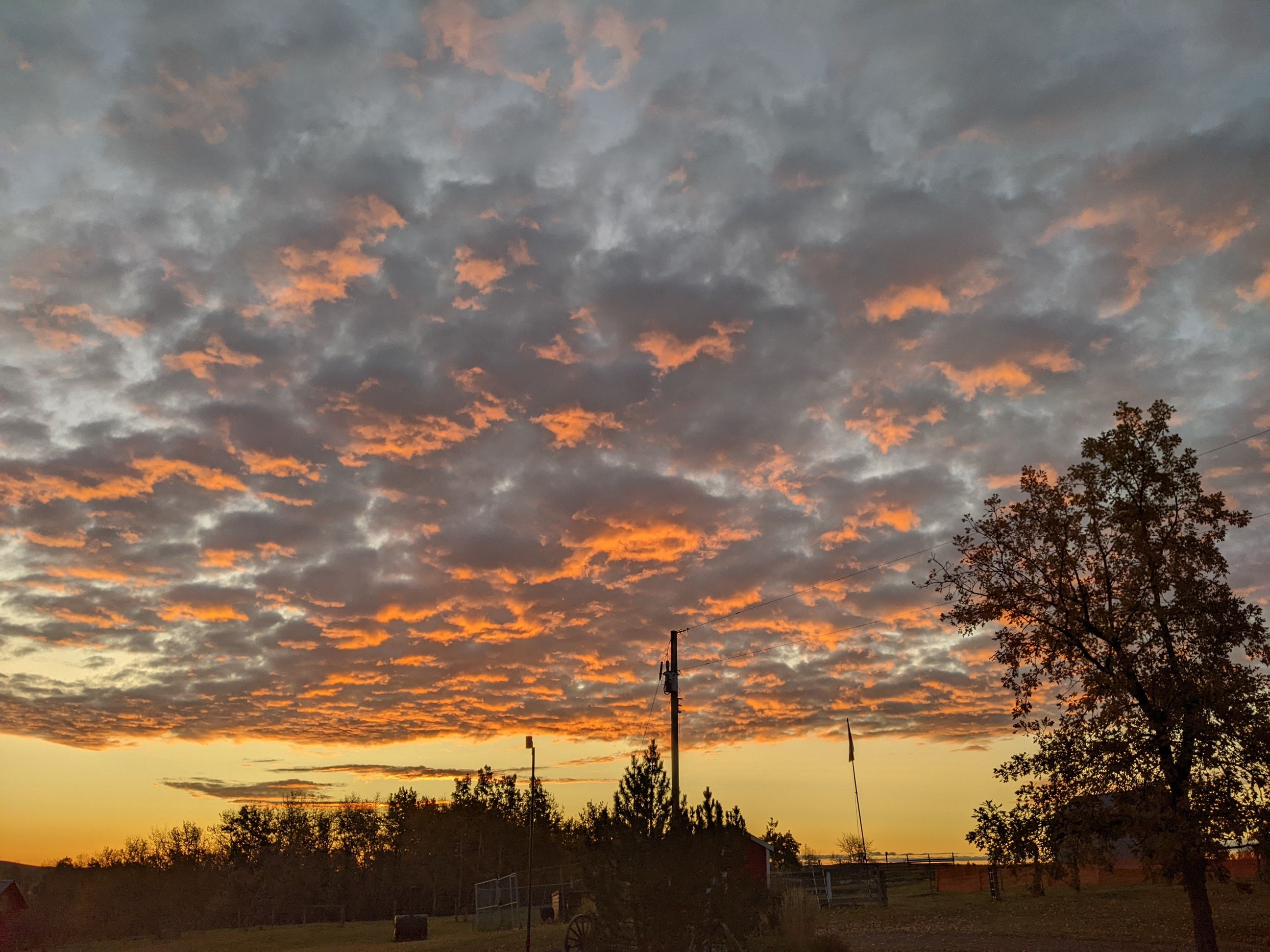 PXL_20231003_133739281 (1).jpg