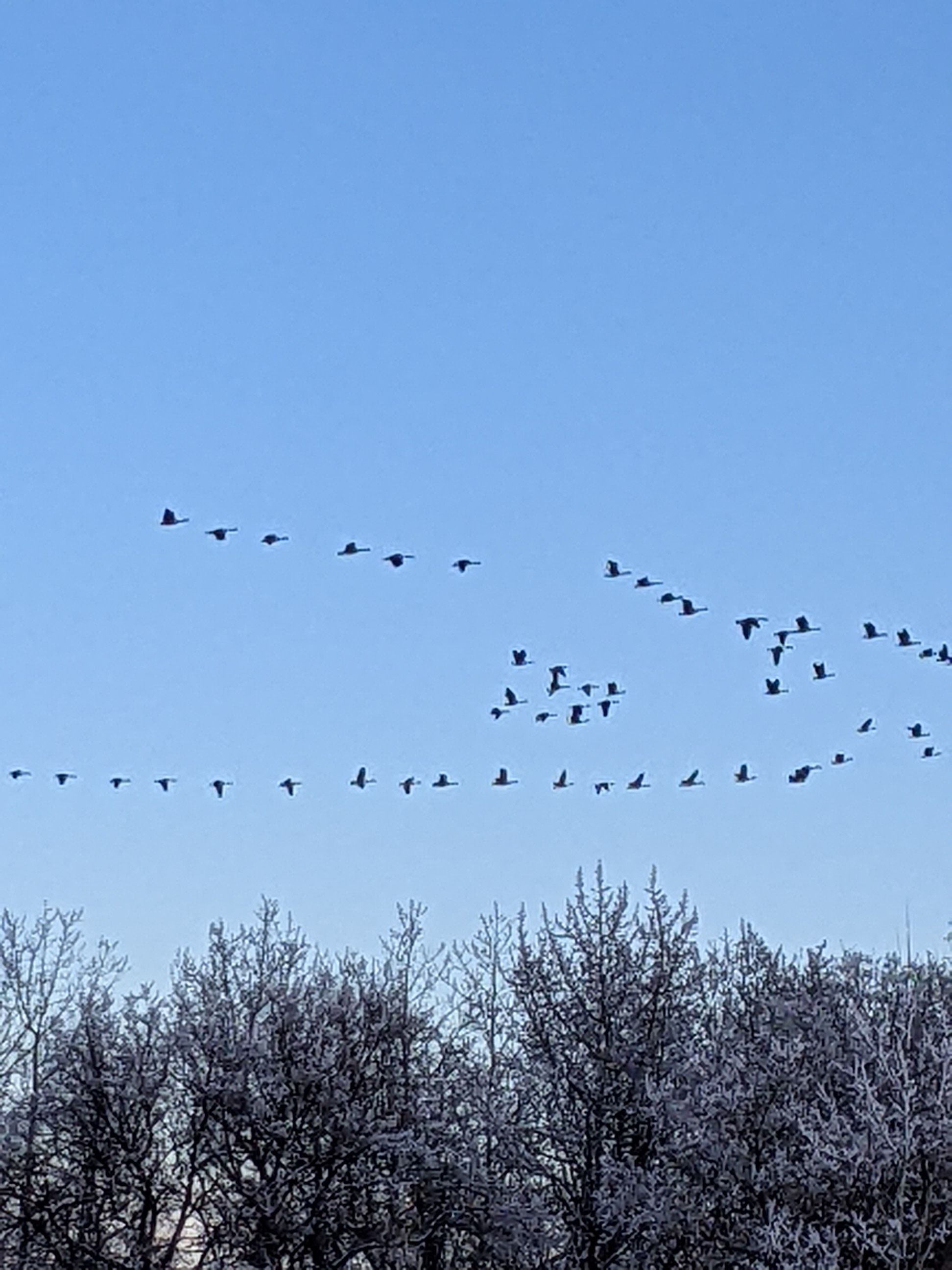 PXL_20240105_225311107 (1).jpg