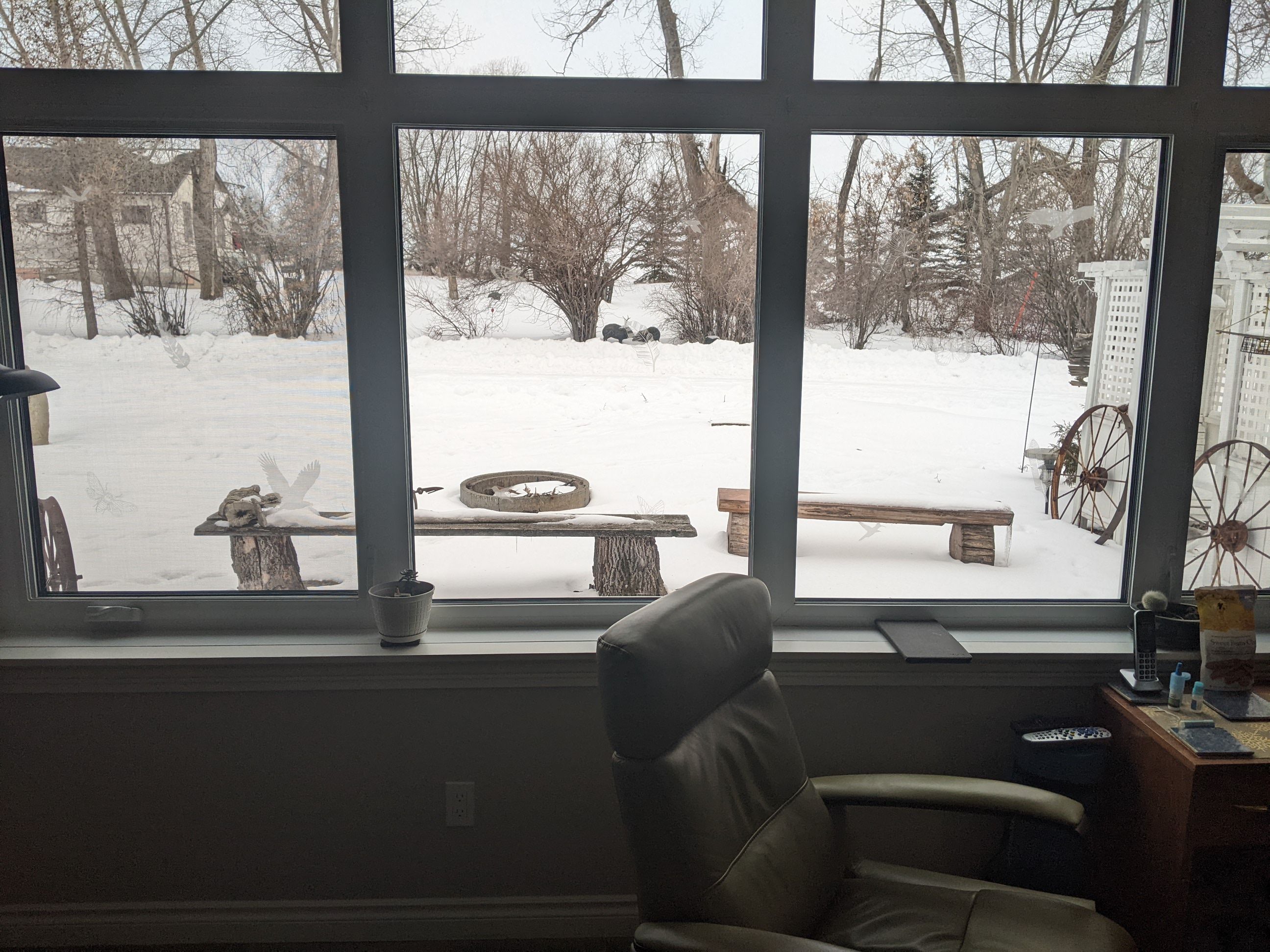 PXL_20240325_013021952 (1).jpg