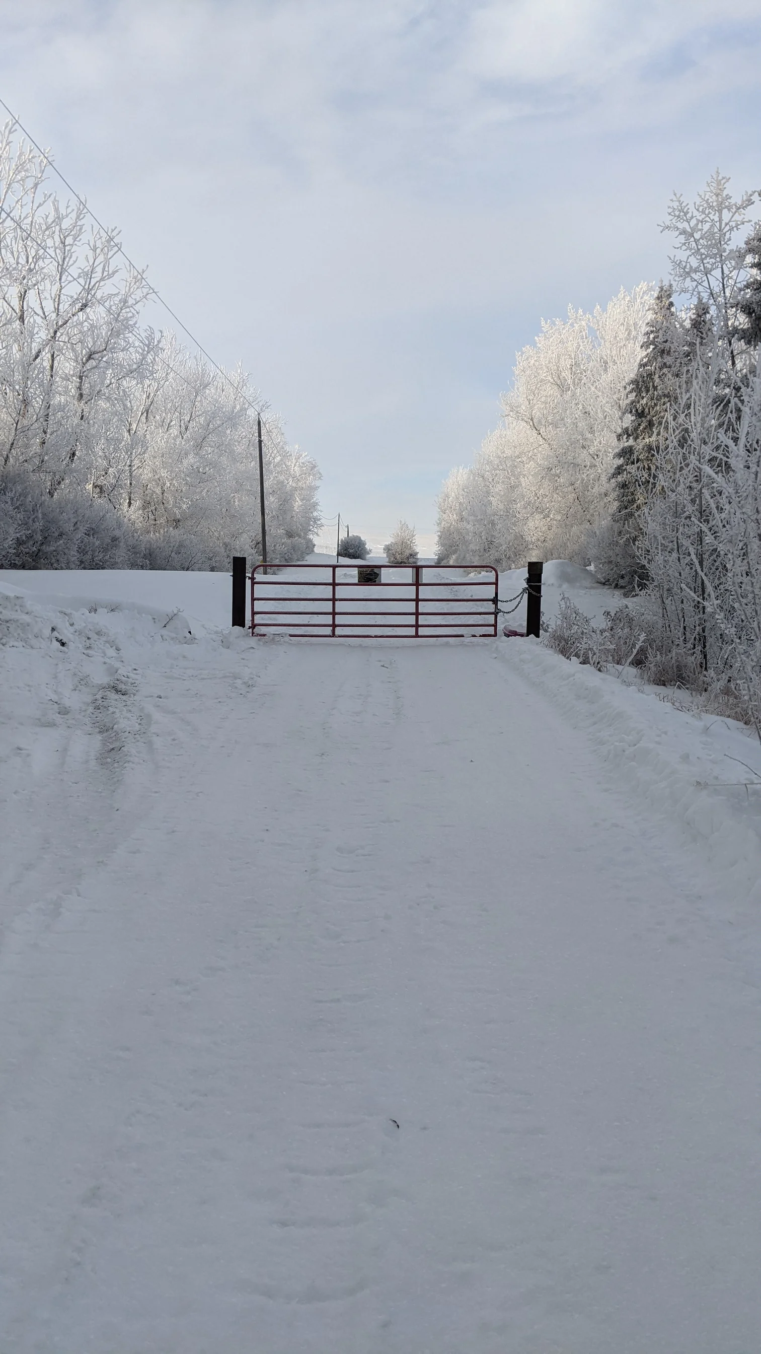 PXL_20260104_171814190 (1).webp