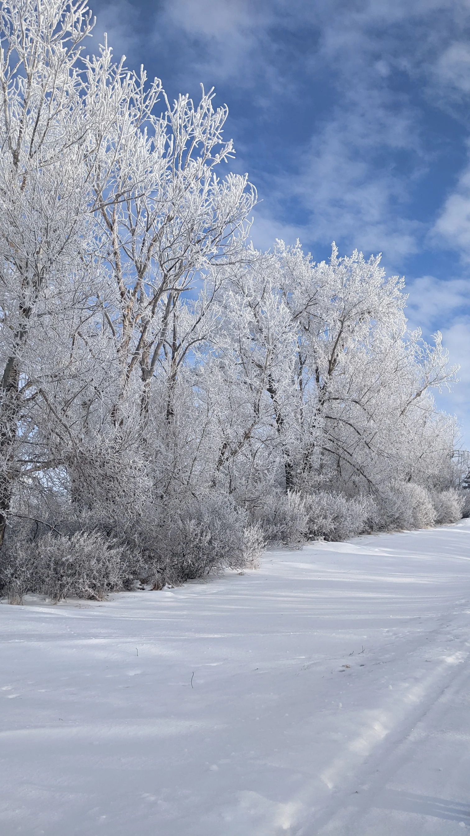 PXL_20260105_195852124 (1).webp