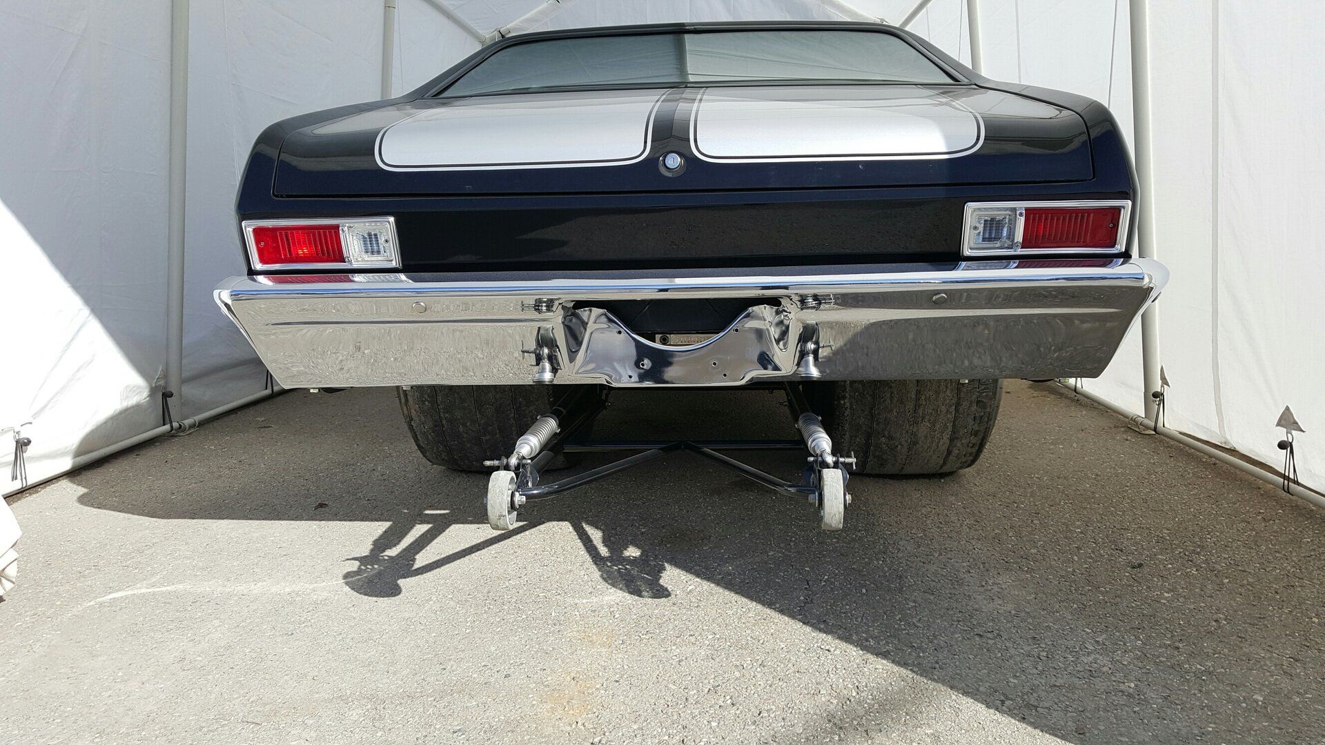 REARNOVA20160225_131438_resized_2.jpg