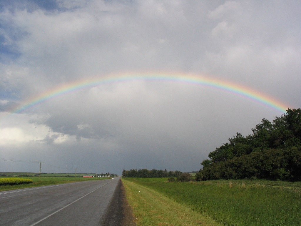roadrage rainbow.jpg