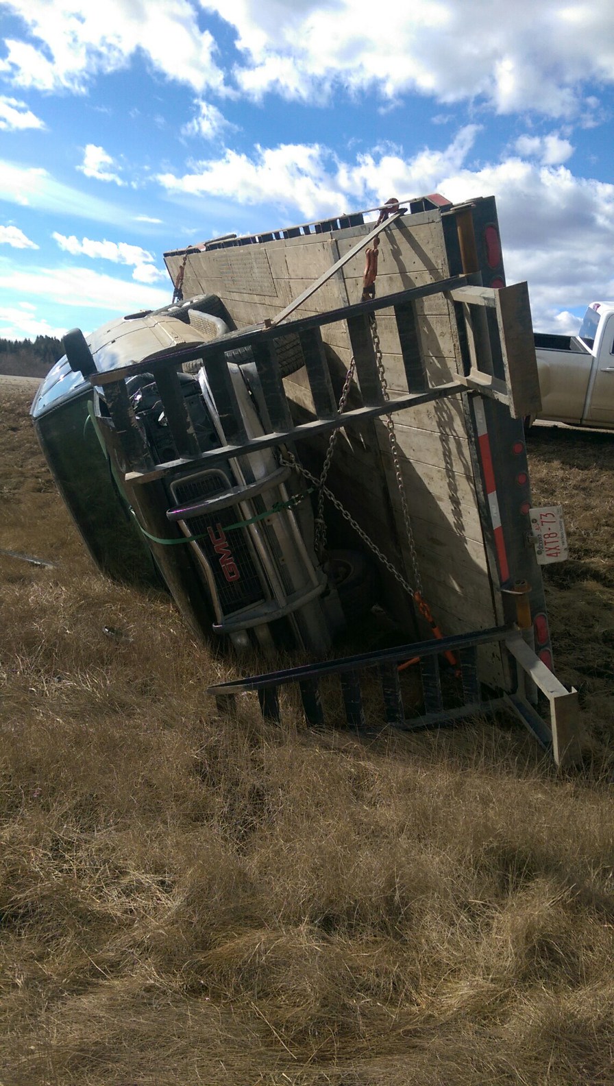 Rollover1.jpg