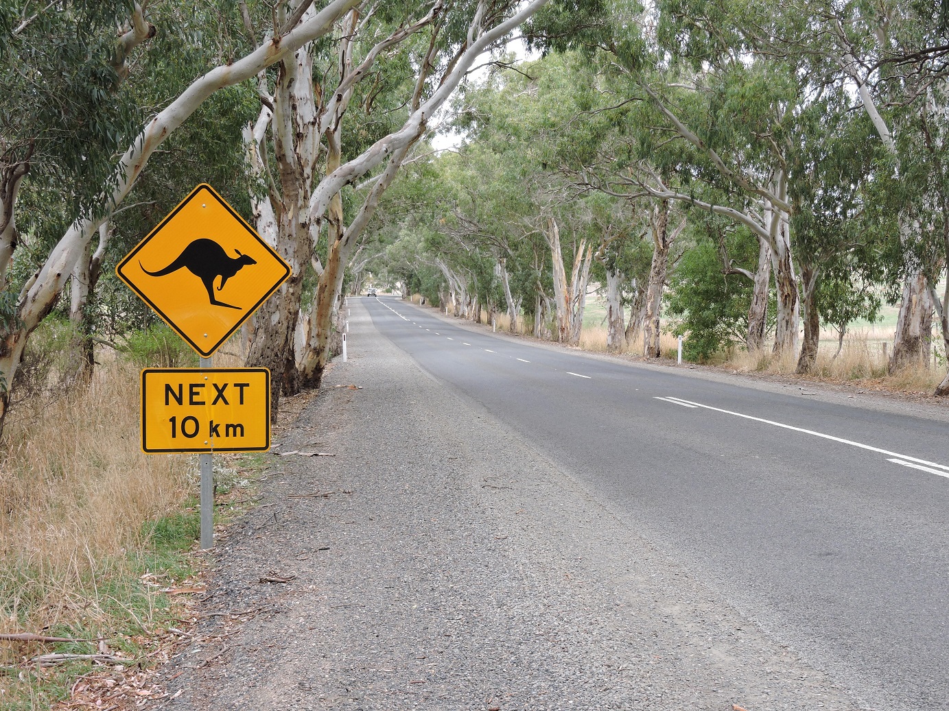 Roo Crossing
