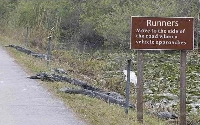 runners.webp