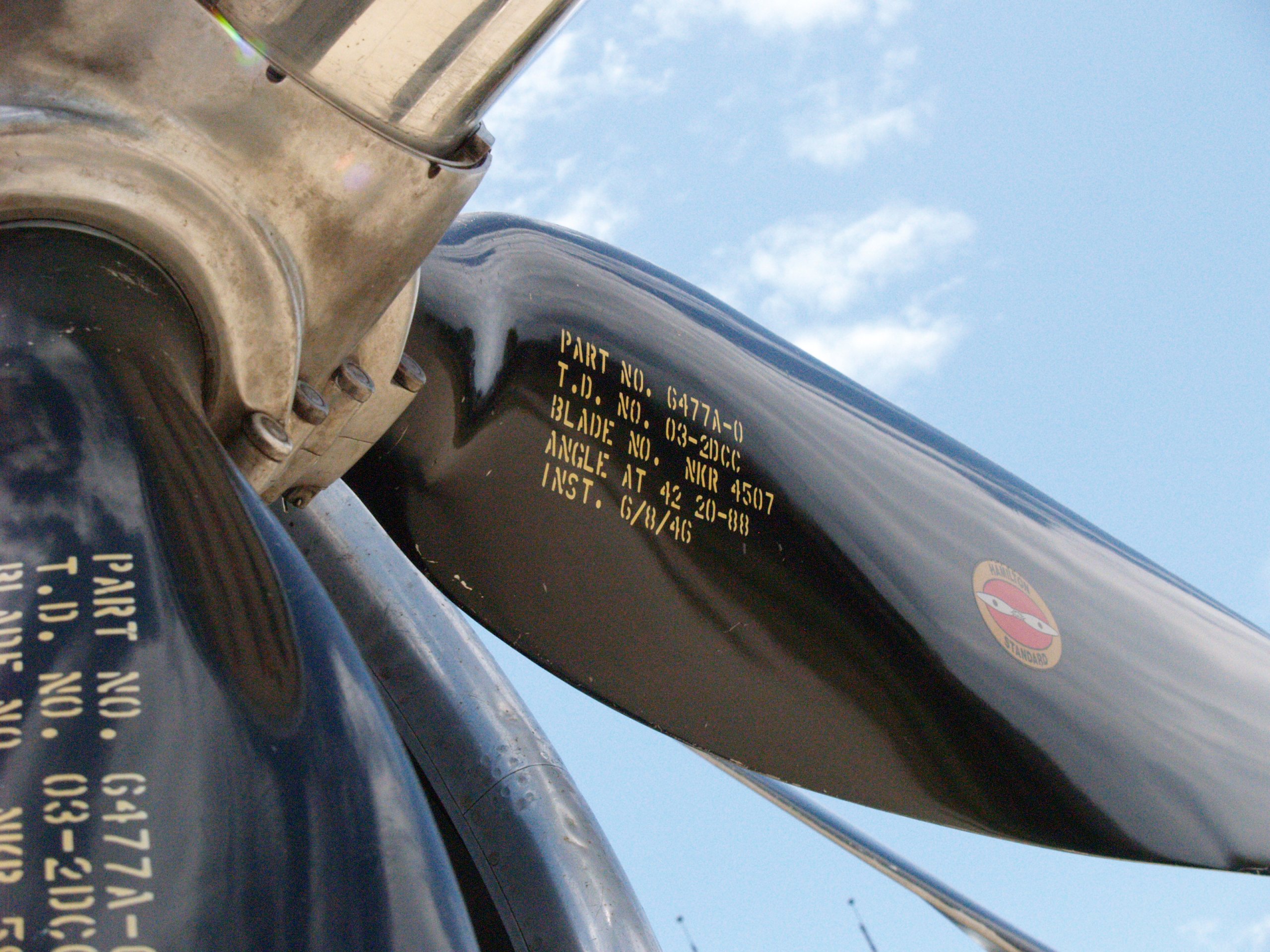 Sentimenatl Journey 2.jpg