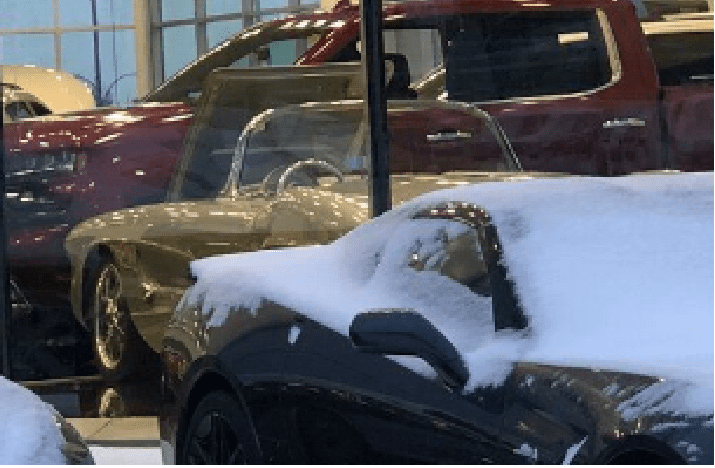 shagvette.png