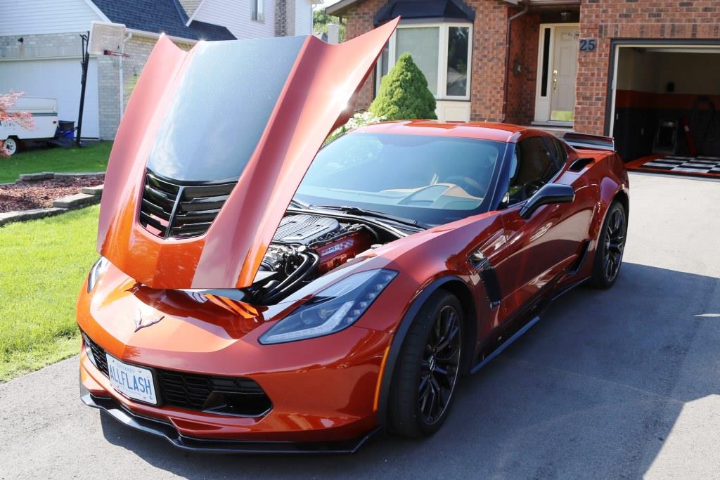 Showstoppers Coil Covers 2.jpg